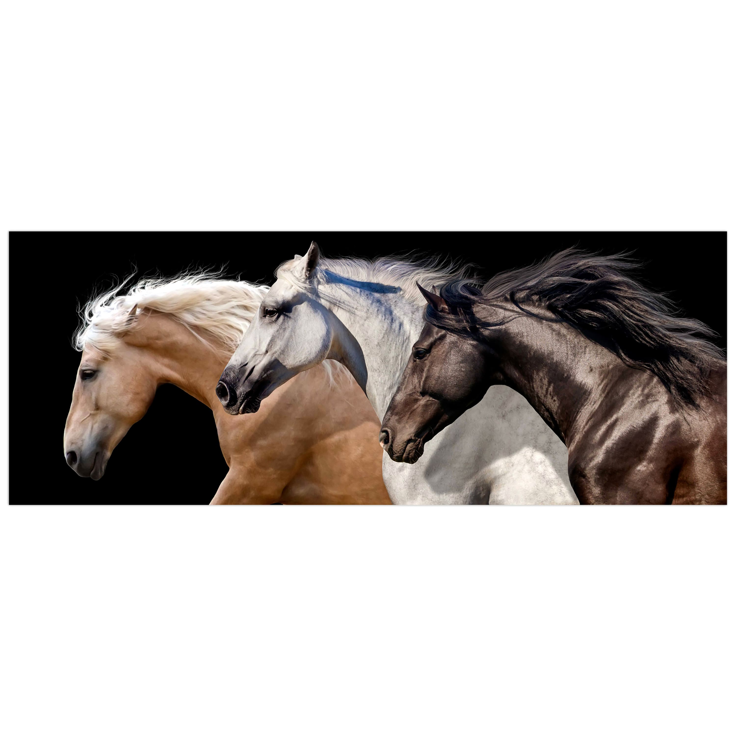 Empire Art Direct 24" x 63" Horse Trilogy 2 Frameless Free Floating Printed Tempered Glass Wall Art