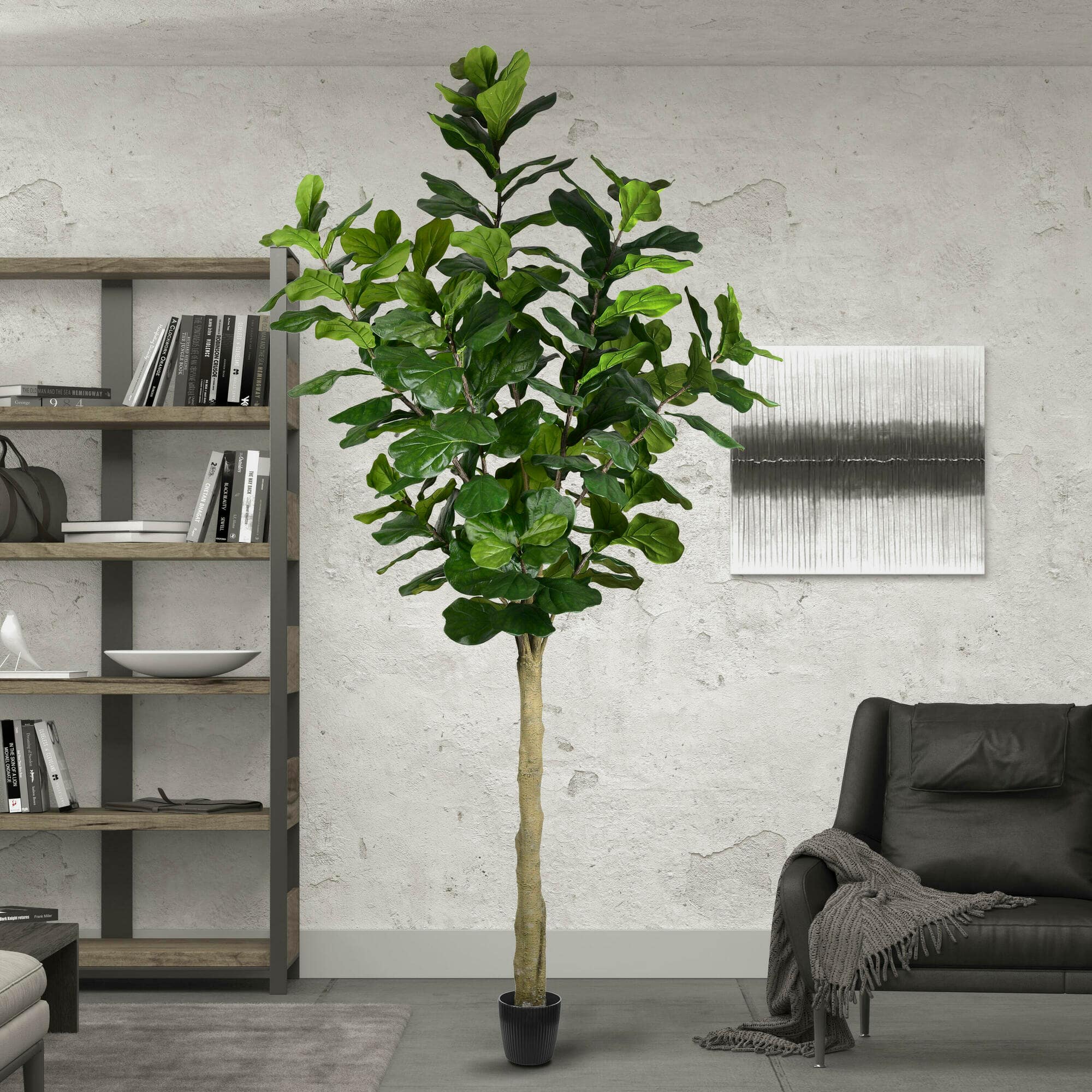 10ft. Potted Fiddle Tree