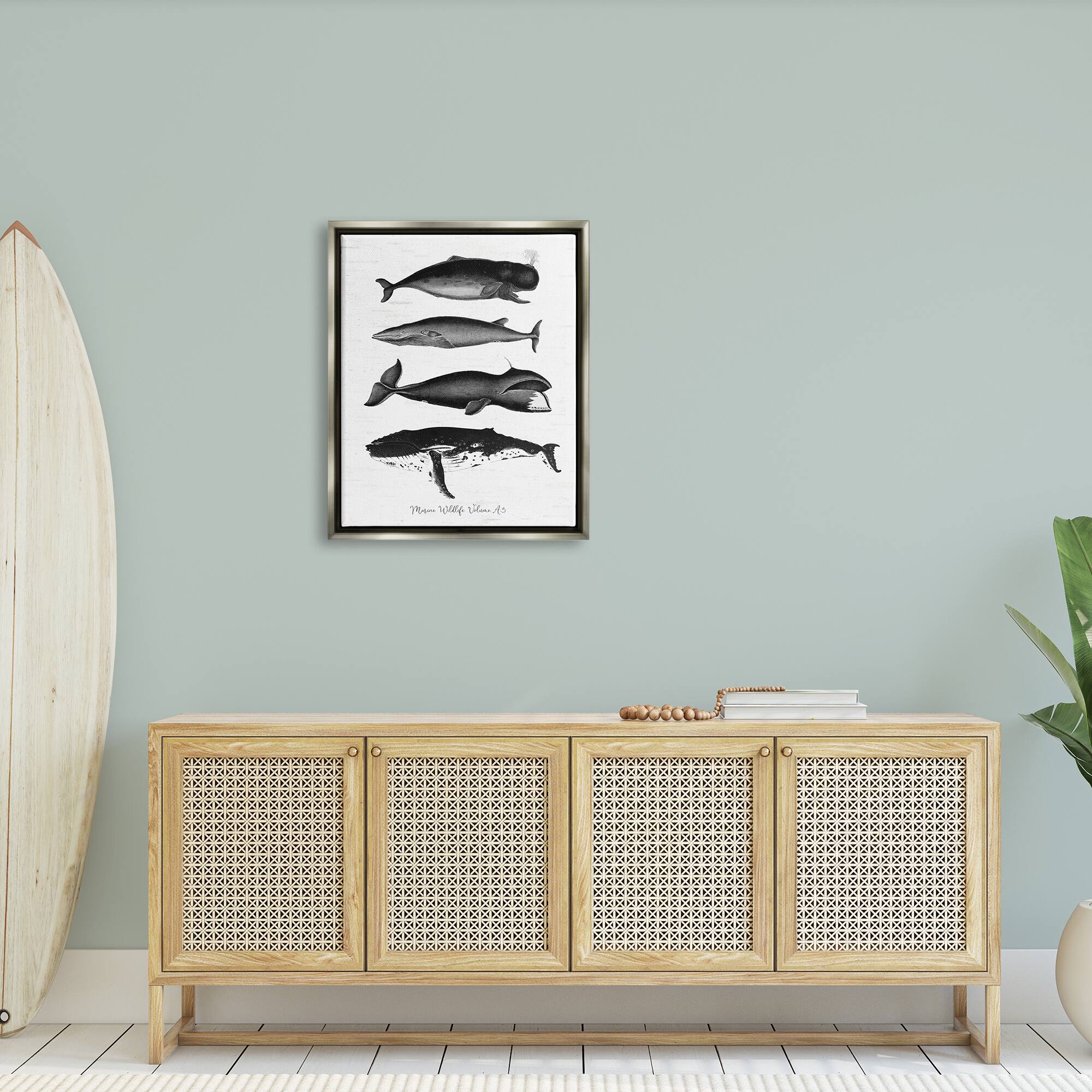 Stupell Industries Marine Wildlife Whales Drawings Diagram Framed Floater Canvas Wall Art