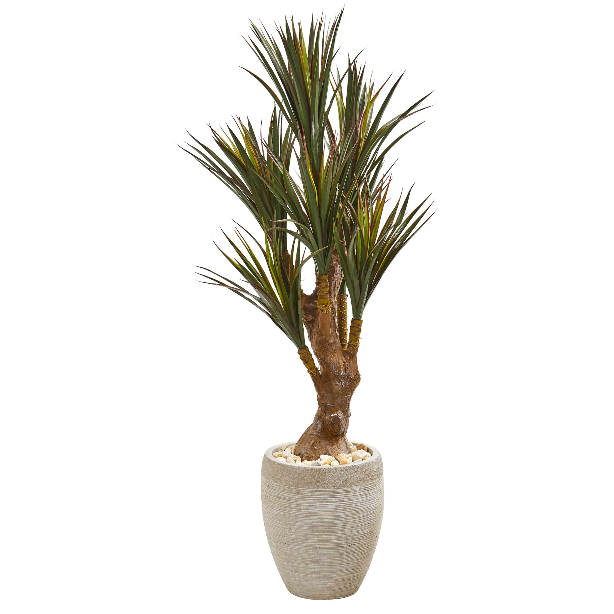 4ft. Yucca Tree in Planter