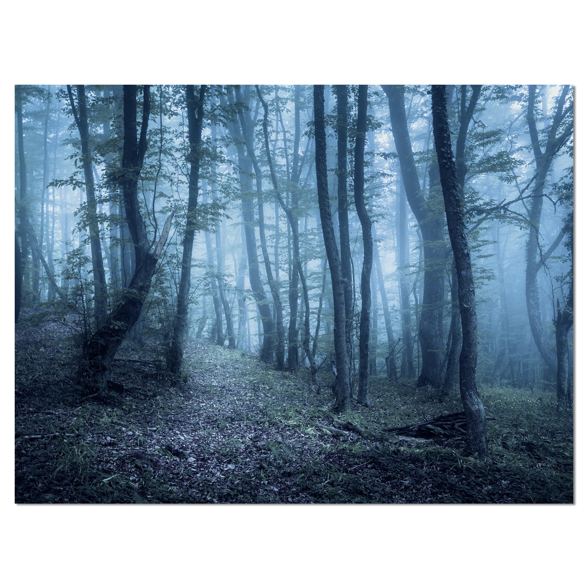Designart - Spring Foggy Forest Trees