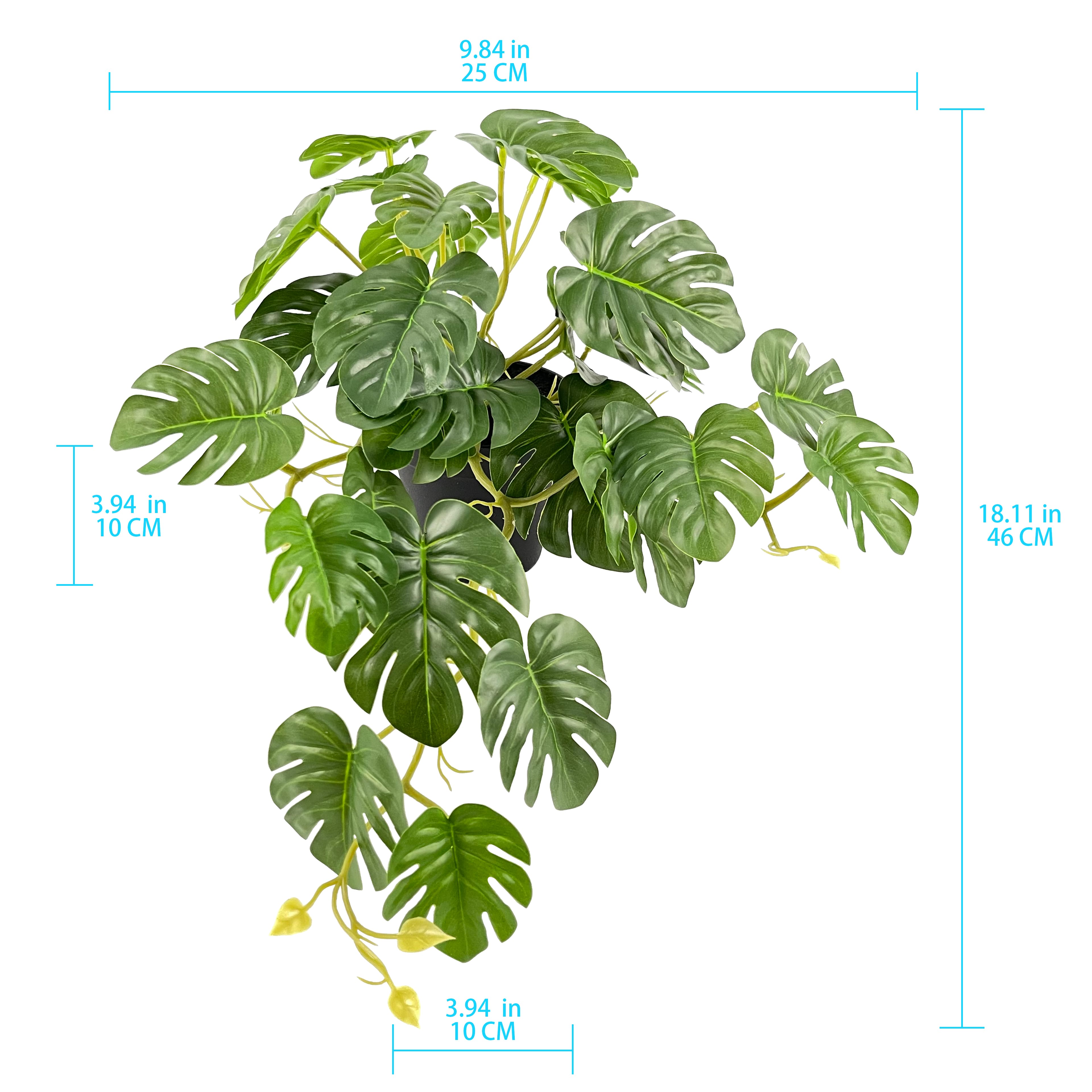 16" Premade Potted Monstera Plant by Ashland®
