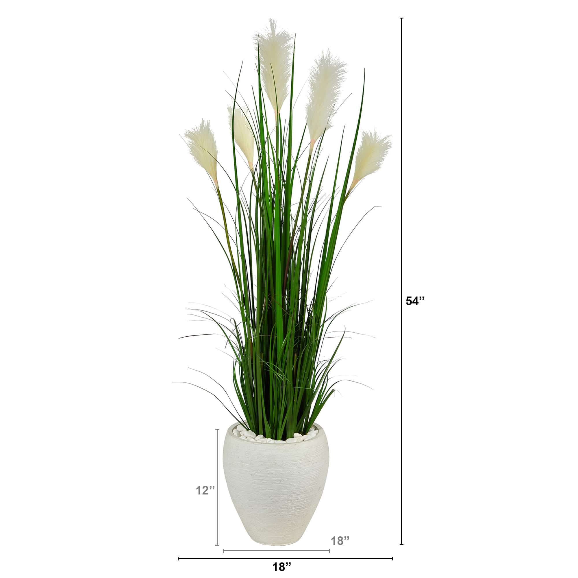 4.5ft. Wheat Plume Grass Plant in White Planter