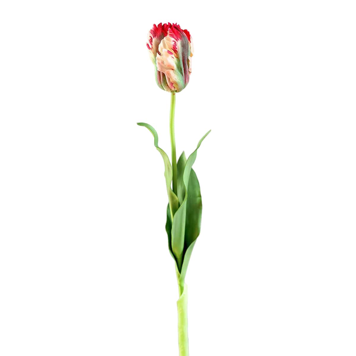 Prestige Botanicals 27" Artificial Real Touch Lemon Parrot Tulip Stem
