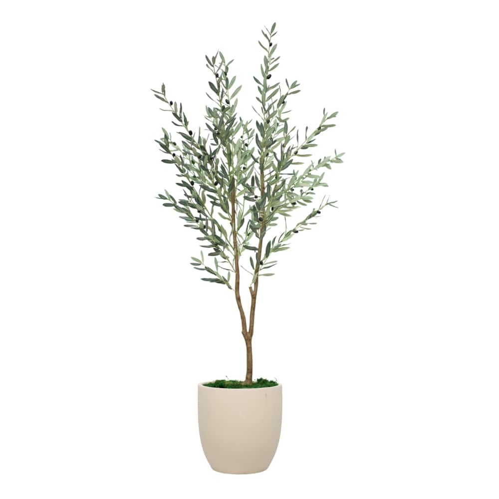 House of Silk Flowers 6ft. Faux Olive Tree in Boiled Cream Tapered Ceramic Pot