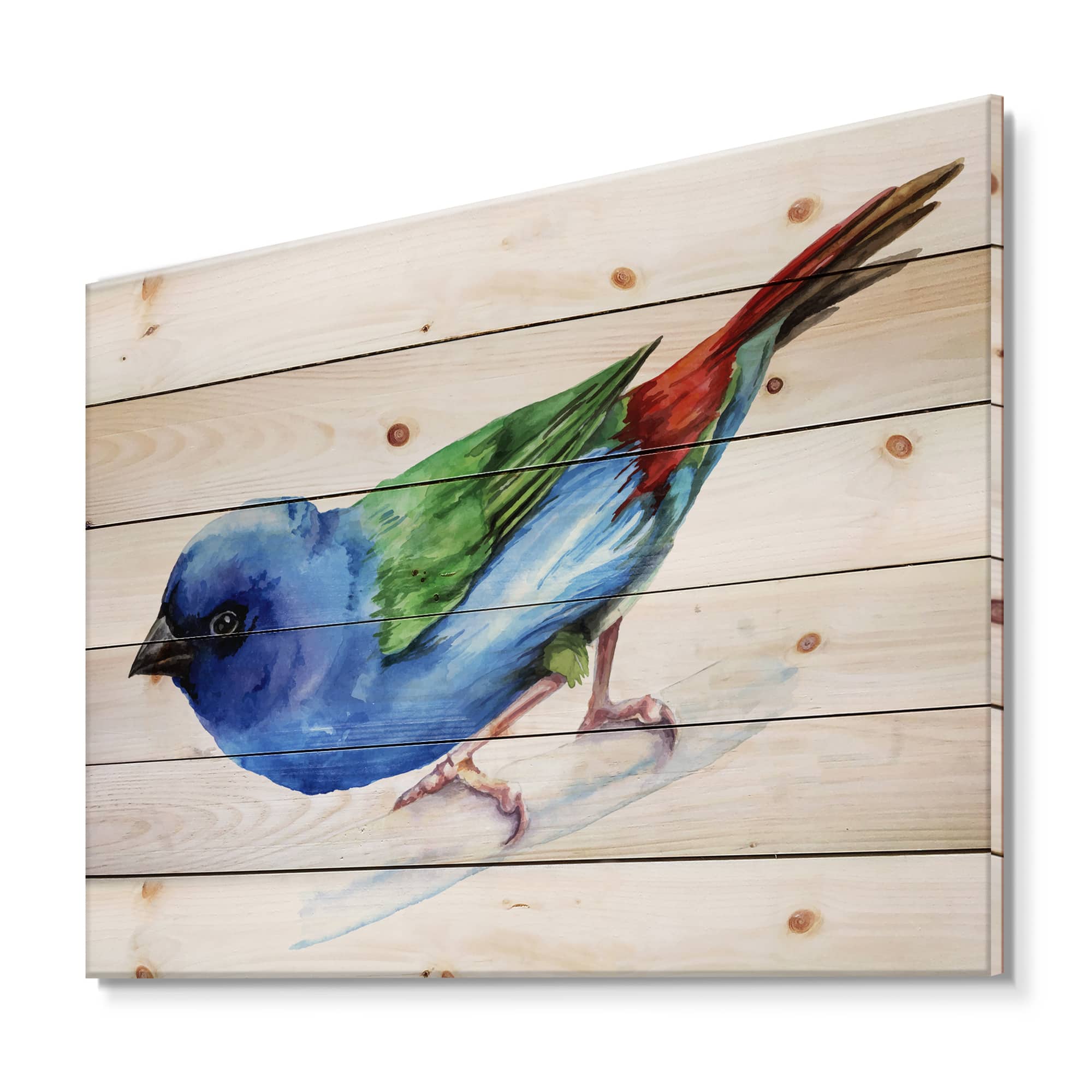 Designart - Forbes Finch Bird