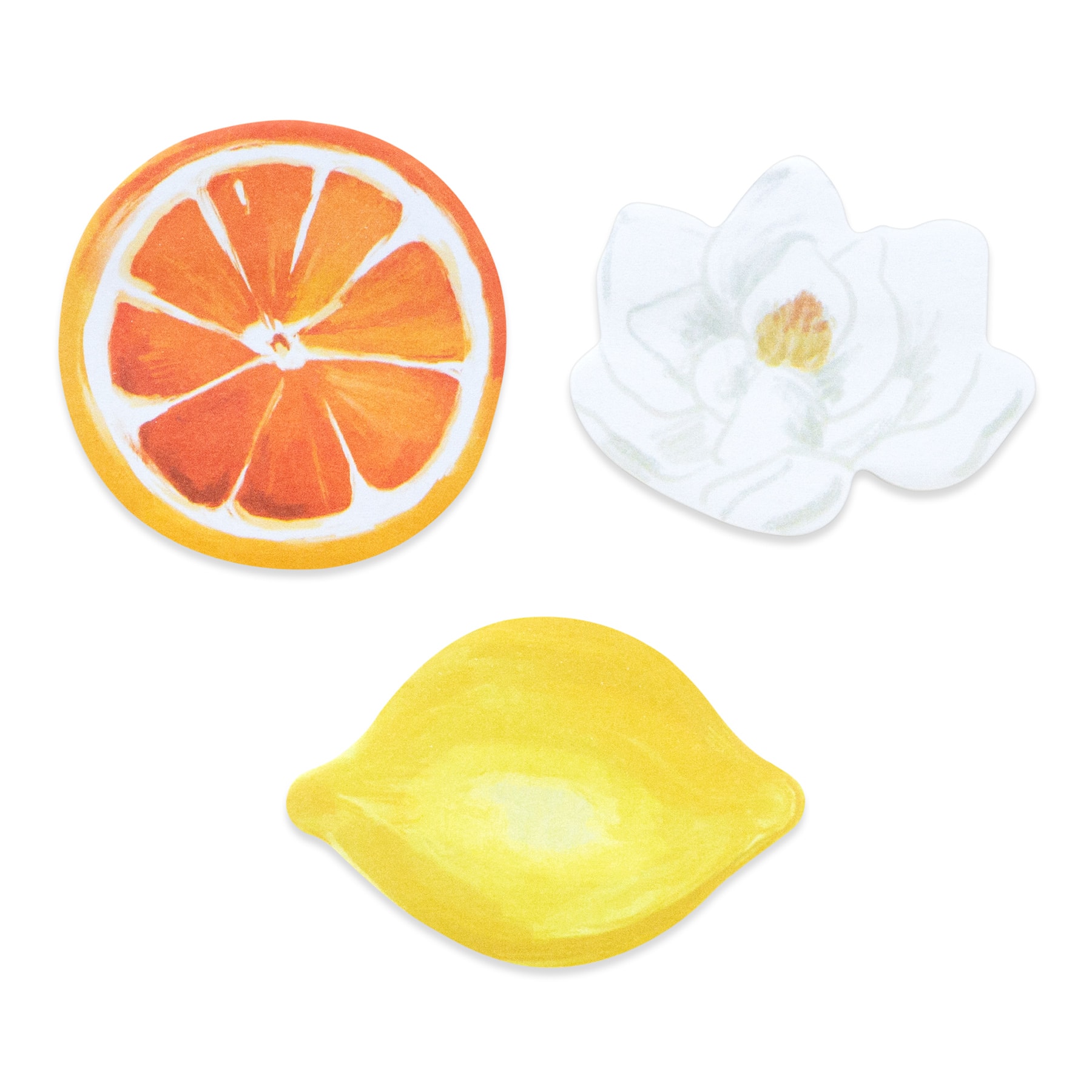 Fruit Planner Sticky Notes by Recollections™