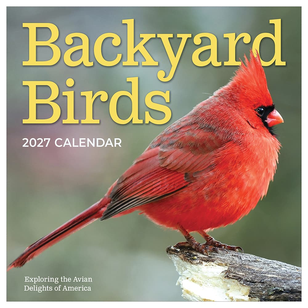 2027 Backyard Birds Wall Calendar