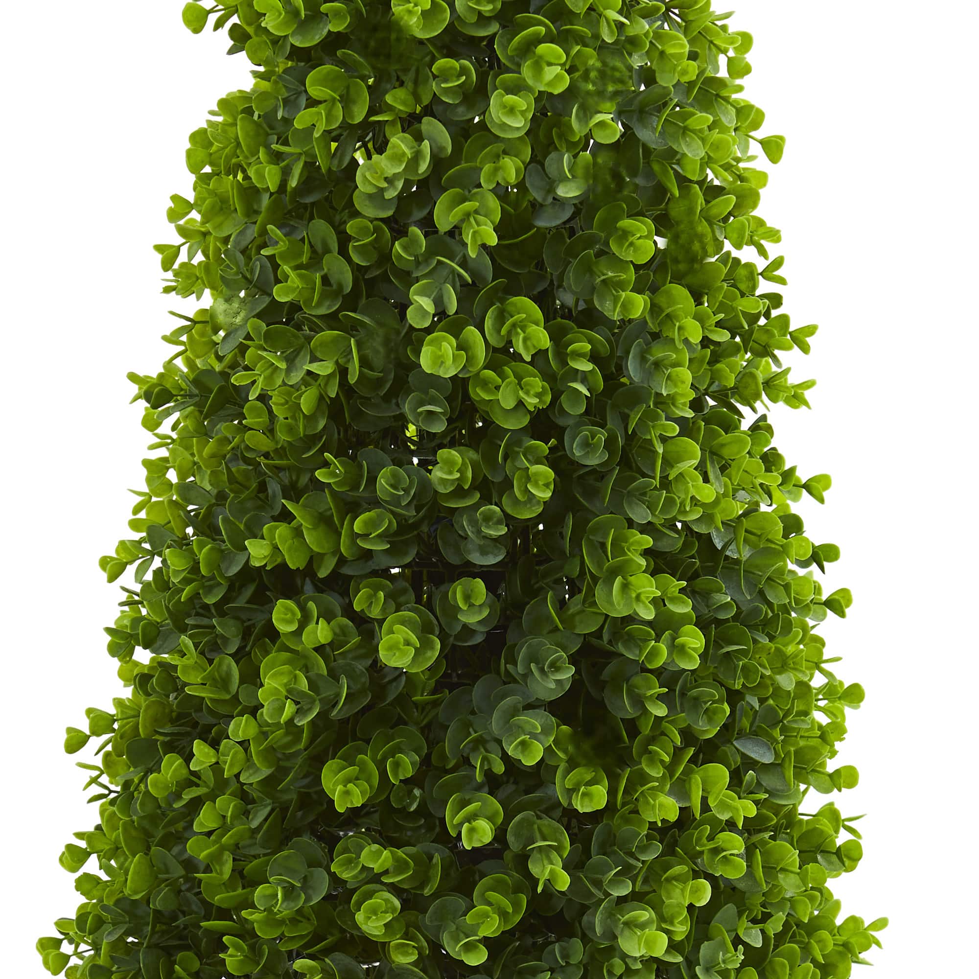 3ft. Potted Eucalyptus Cone Topiary Tree