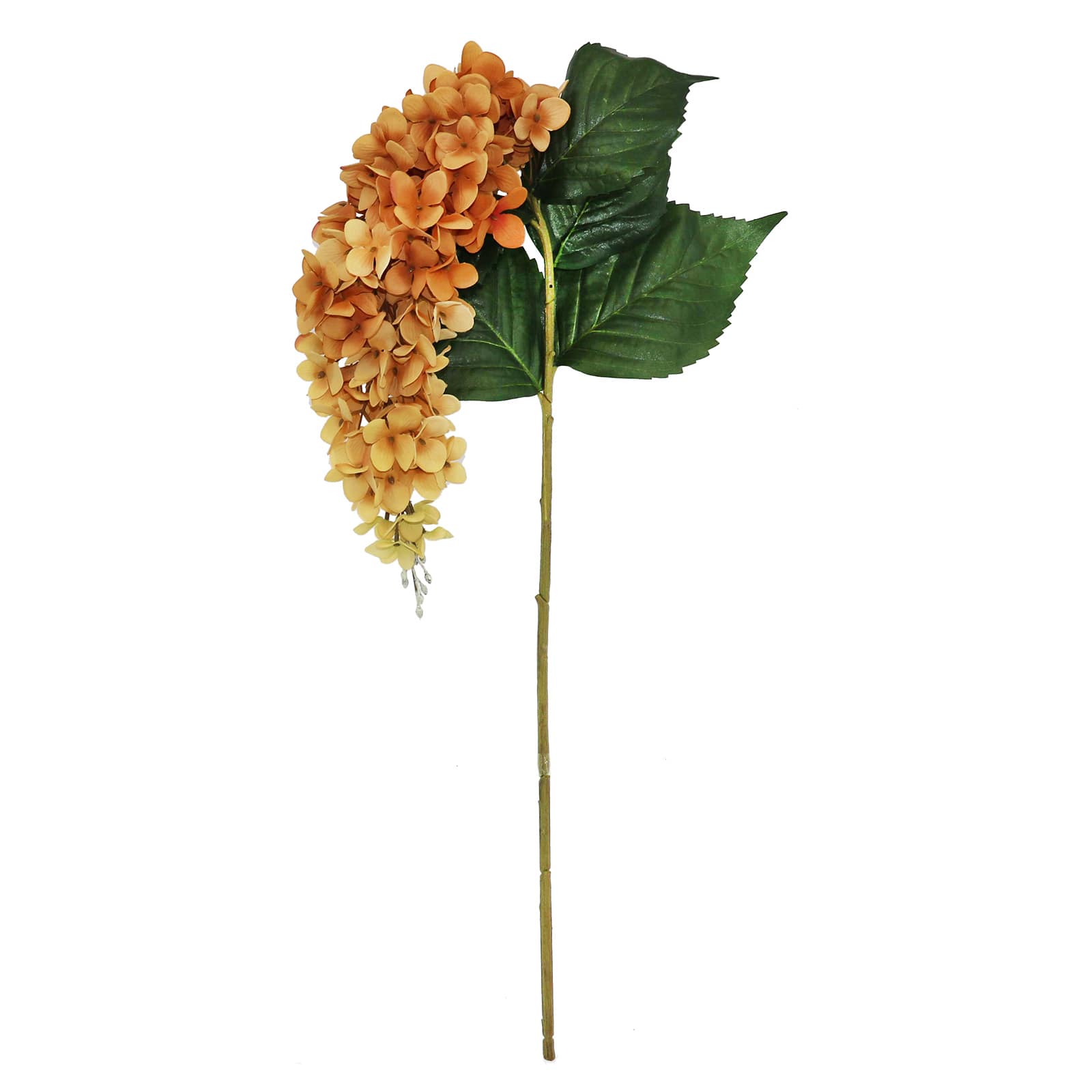 Michaels, 27" Brown & Cream Wisteria by Ashland® – Category: Fall Floral Stems