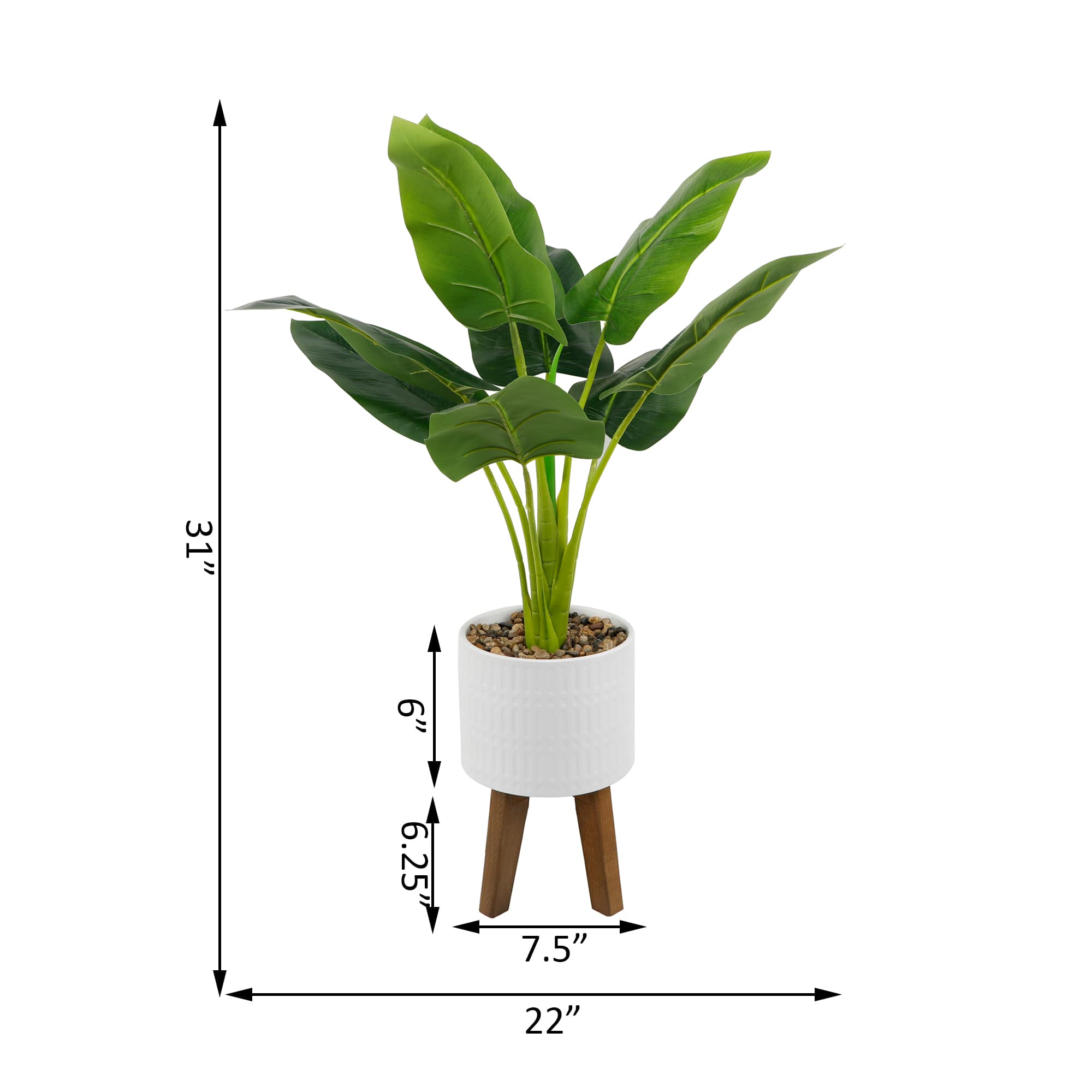 Flora Bunda® 2.5ft. Traveler's Palm in Roman Ceramic Pot on Stand