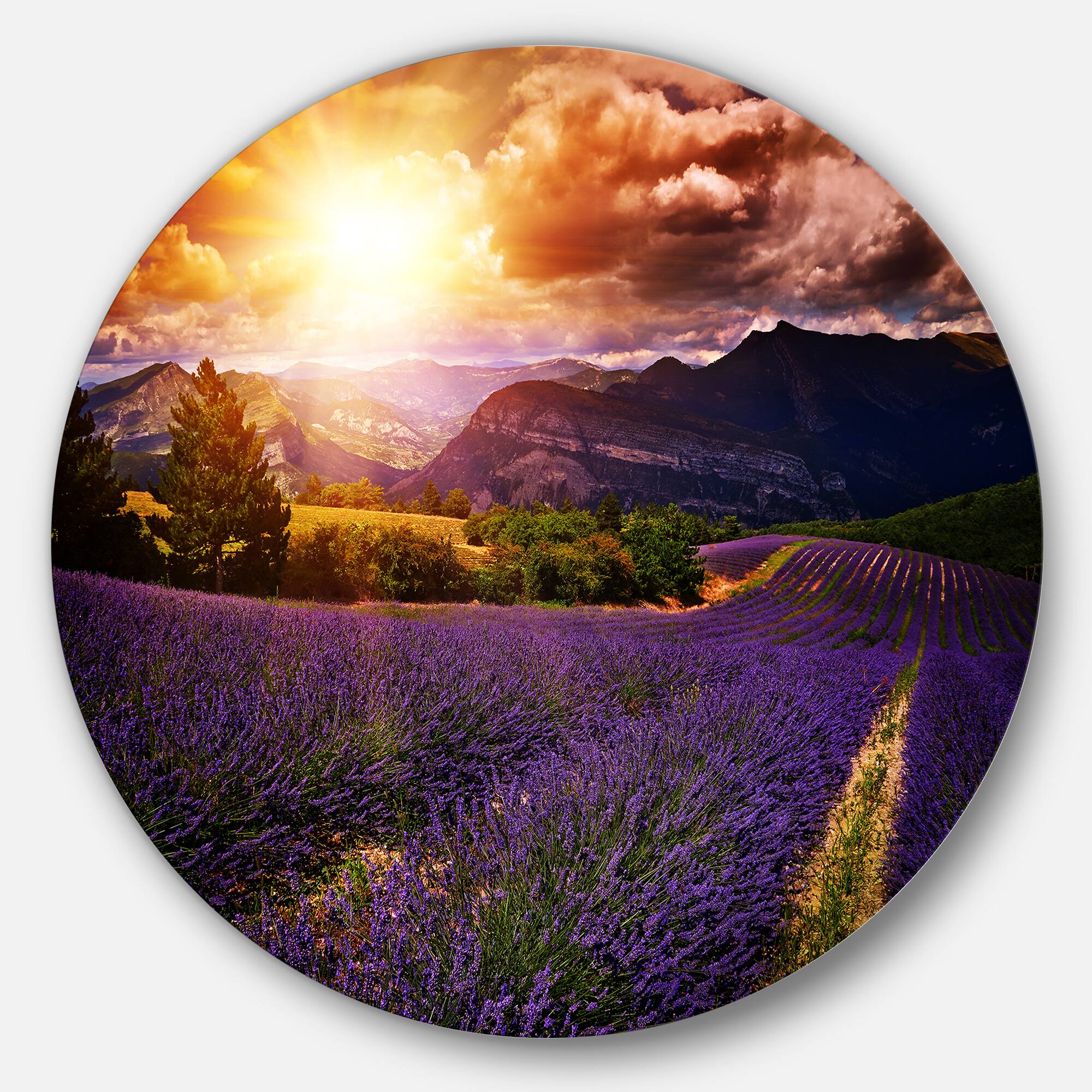 Designart - Beautiful Sunset over Lavender Field' Floral Metal Circle Wall Art