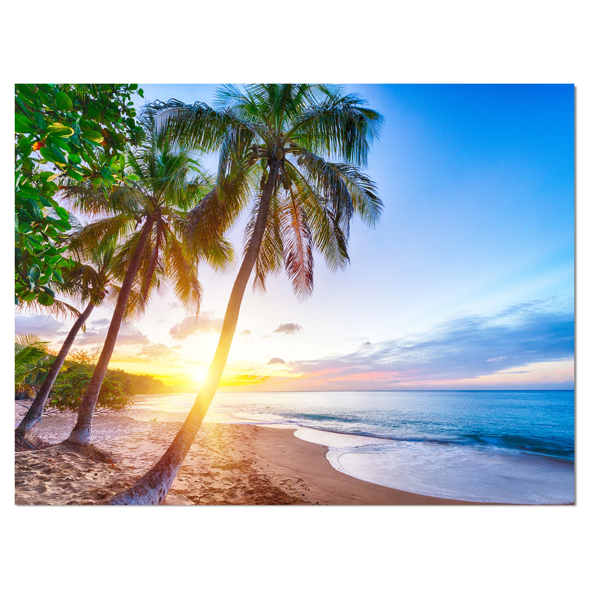 Designart - Pearl Beach in Guadeloupe