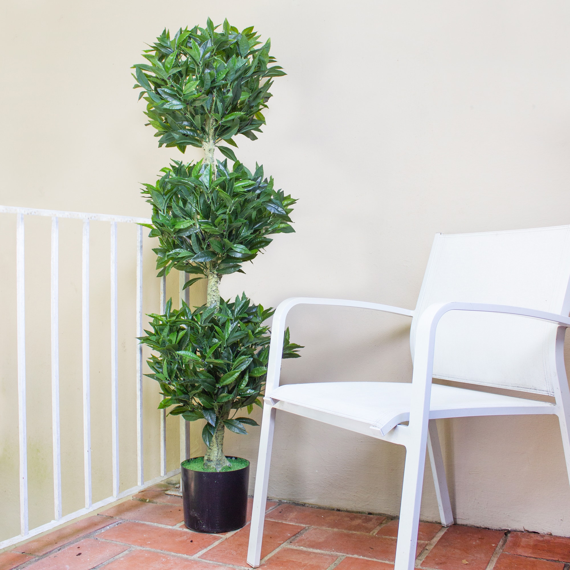 5ft. Potted UV Resistant Triple Bay Leaf Topiary Tree