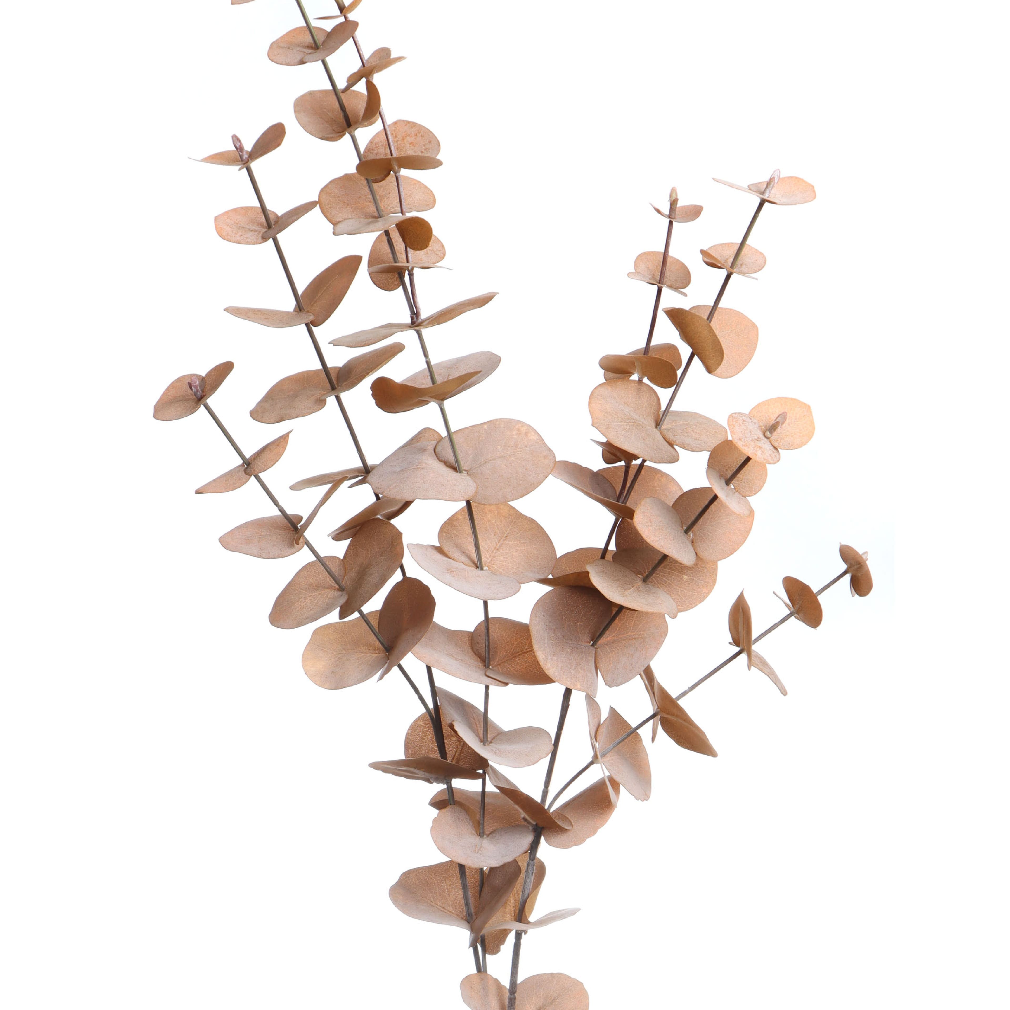 38" Toasted Eucalyptus Stem by Ashland®