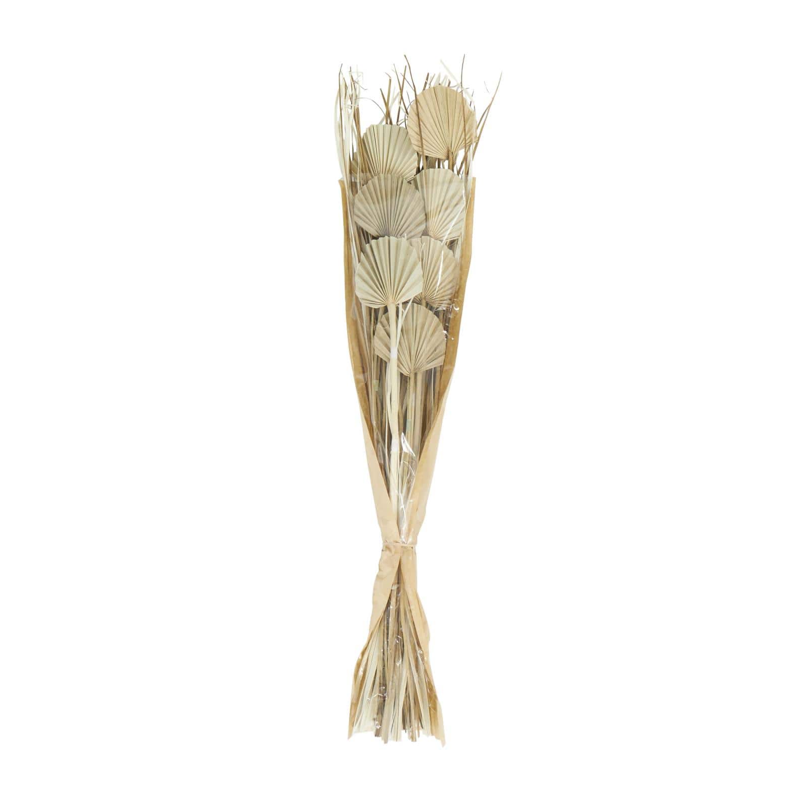 3ft. Brown Dried Plant Palm Leaf Natural Foliage with Grass