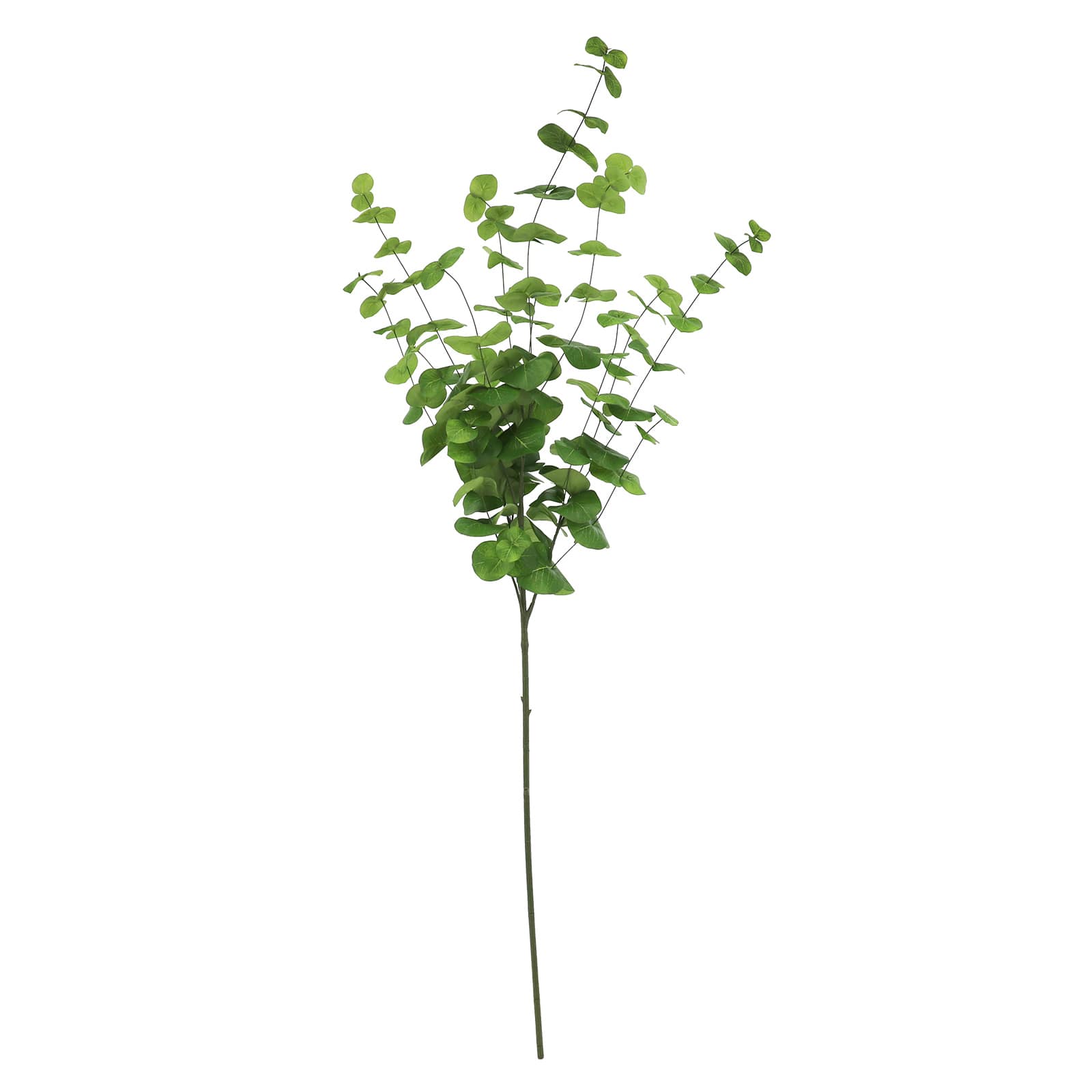 56" Green Eucalyptus Oversized Stem by Ashland®