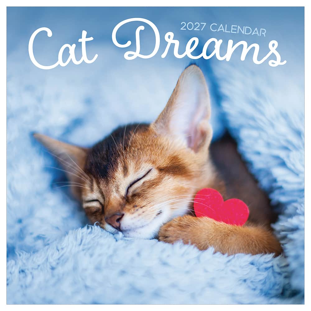 2027 Cat Dreams Wall Calendar