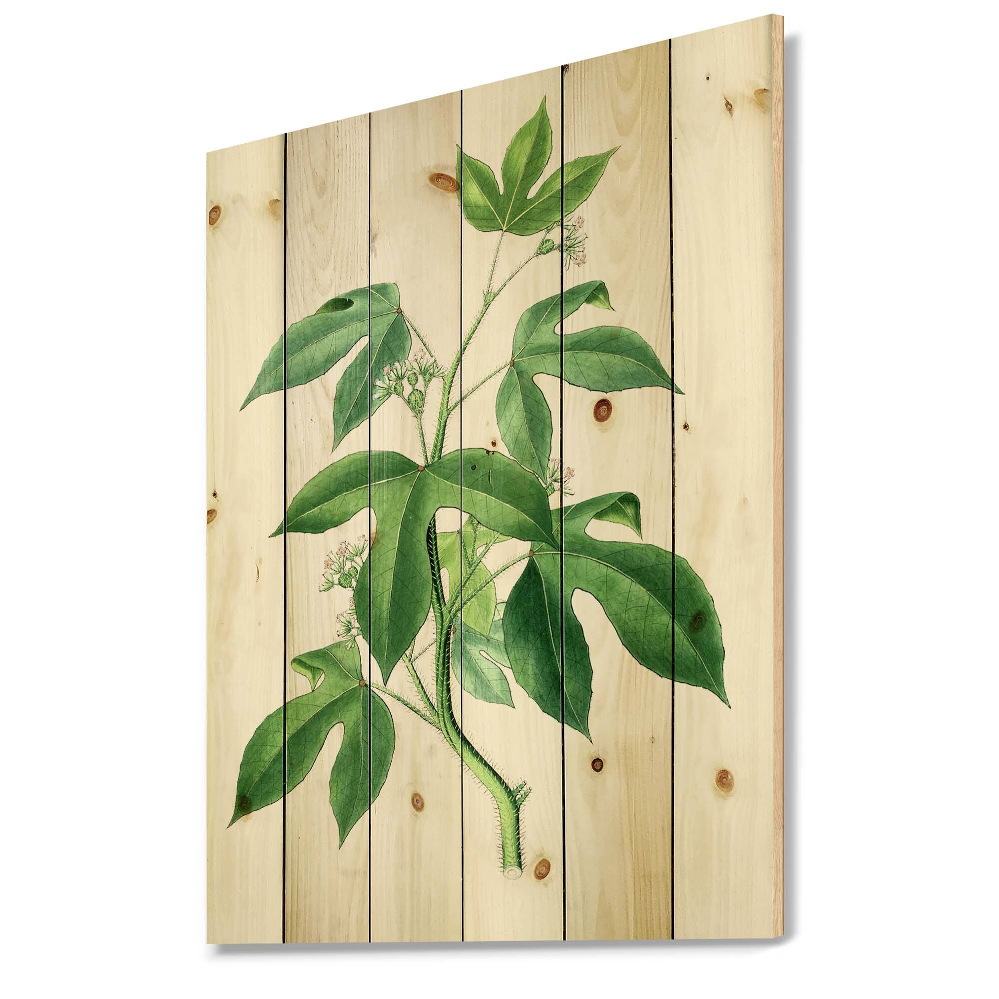 Designart - Vintage Green Leaves Plants V - Traditional Print on Natural Pine Wood