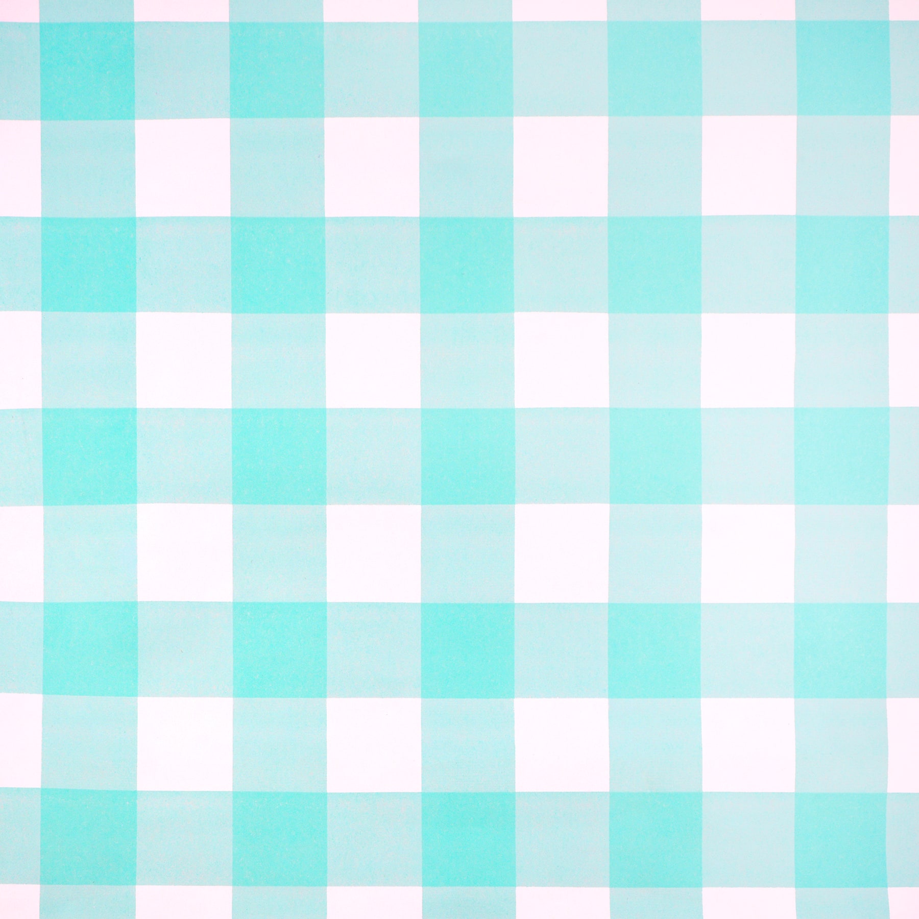 Class Rules! 48" x 12ft. Gingham Bulletin Board Paper by B2C