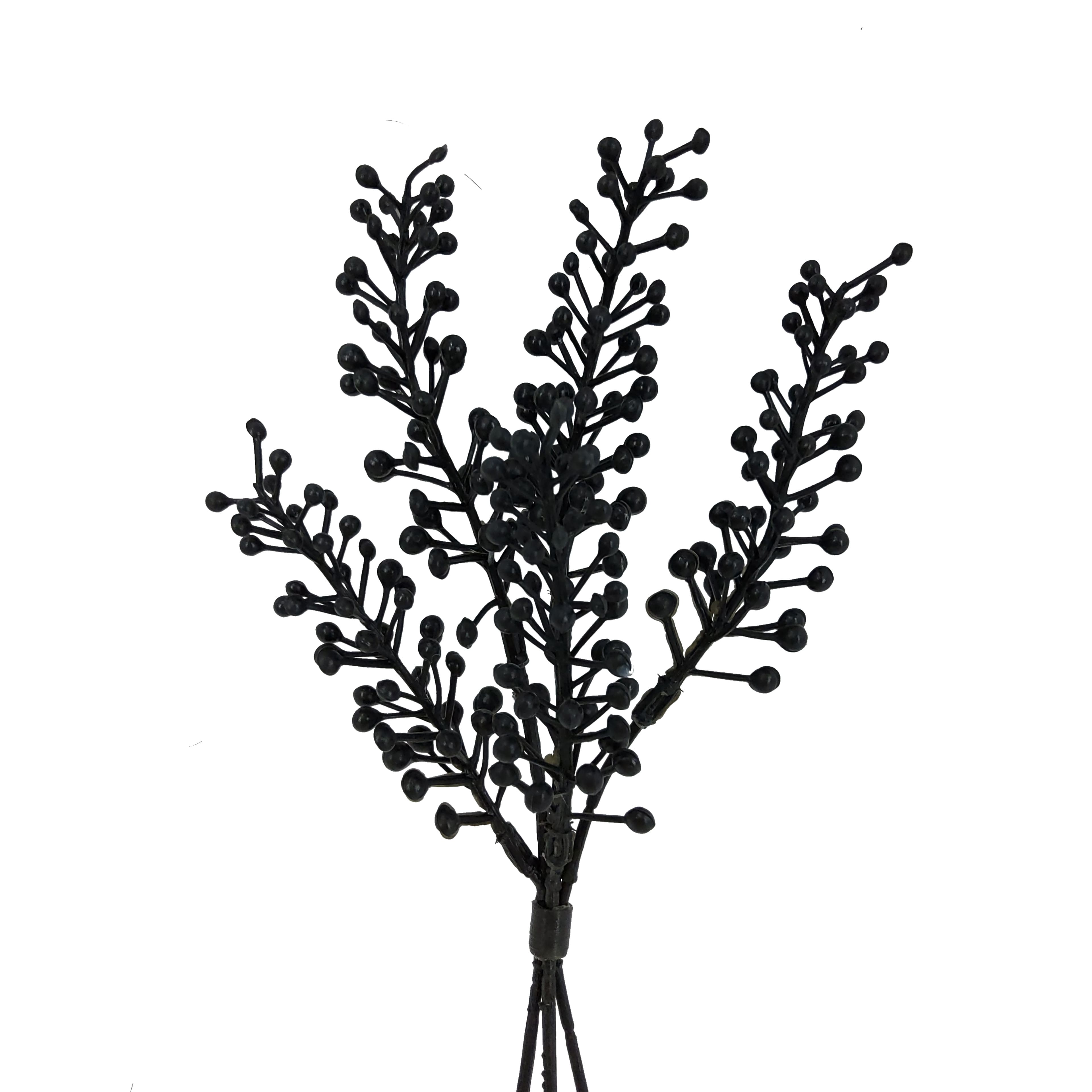12" Black Berry Seed Mini Bundle by Ashland®