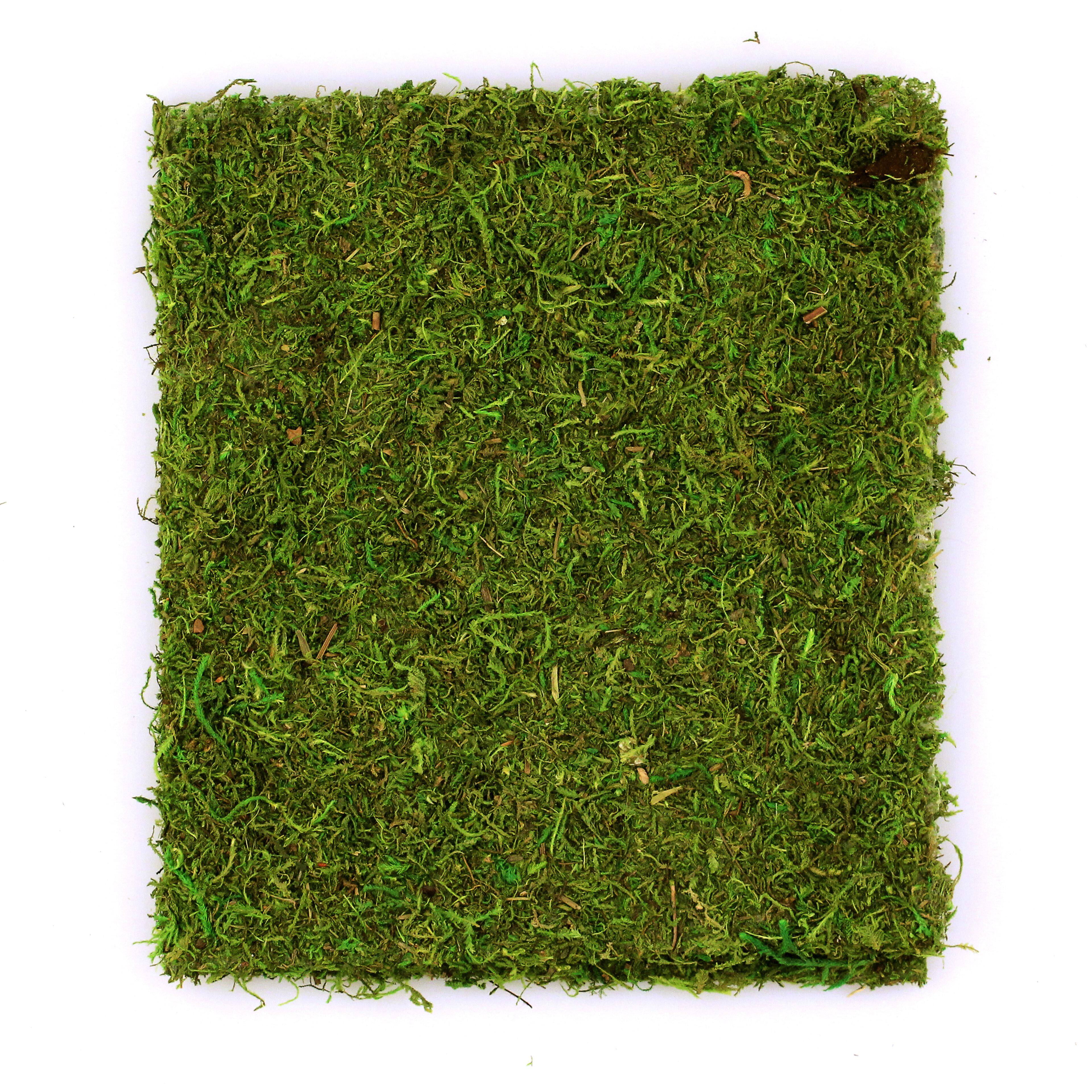 6 Pack: SuperMoss® Instant Green All-Purpose Moss Mat