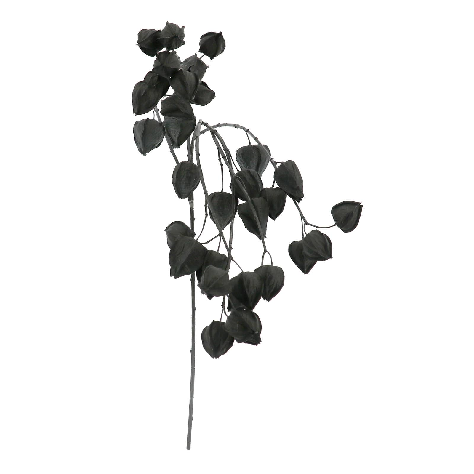 48" Black Lantern Oversized Stem by Ashland®
