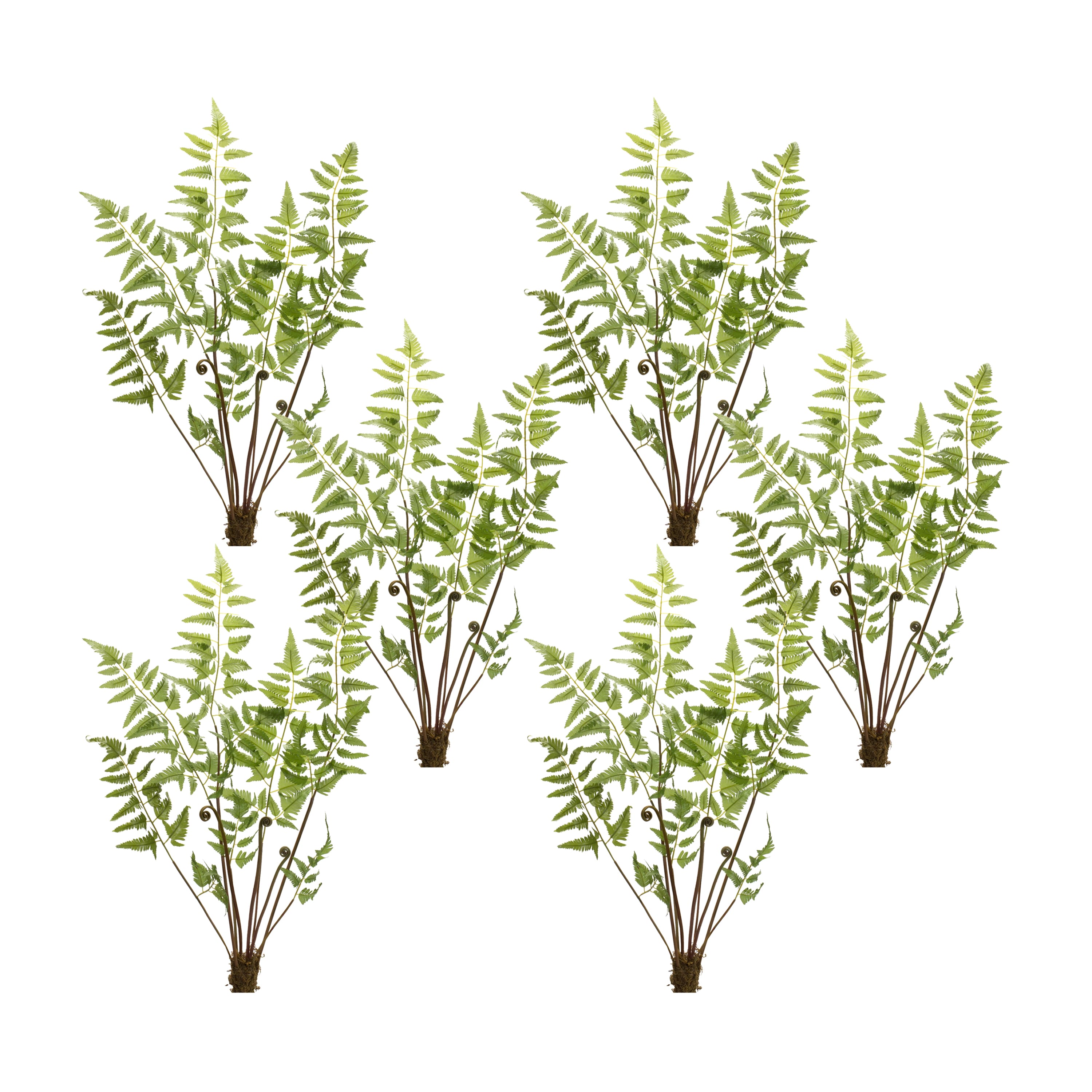 37" Varigated Fern Bundles with Sprout Accents, 6ct.
