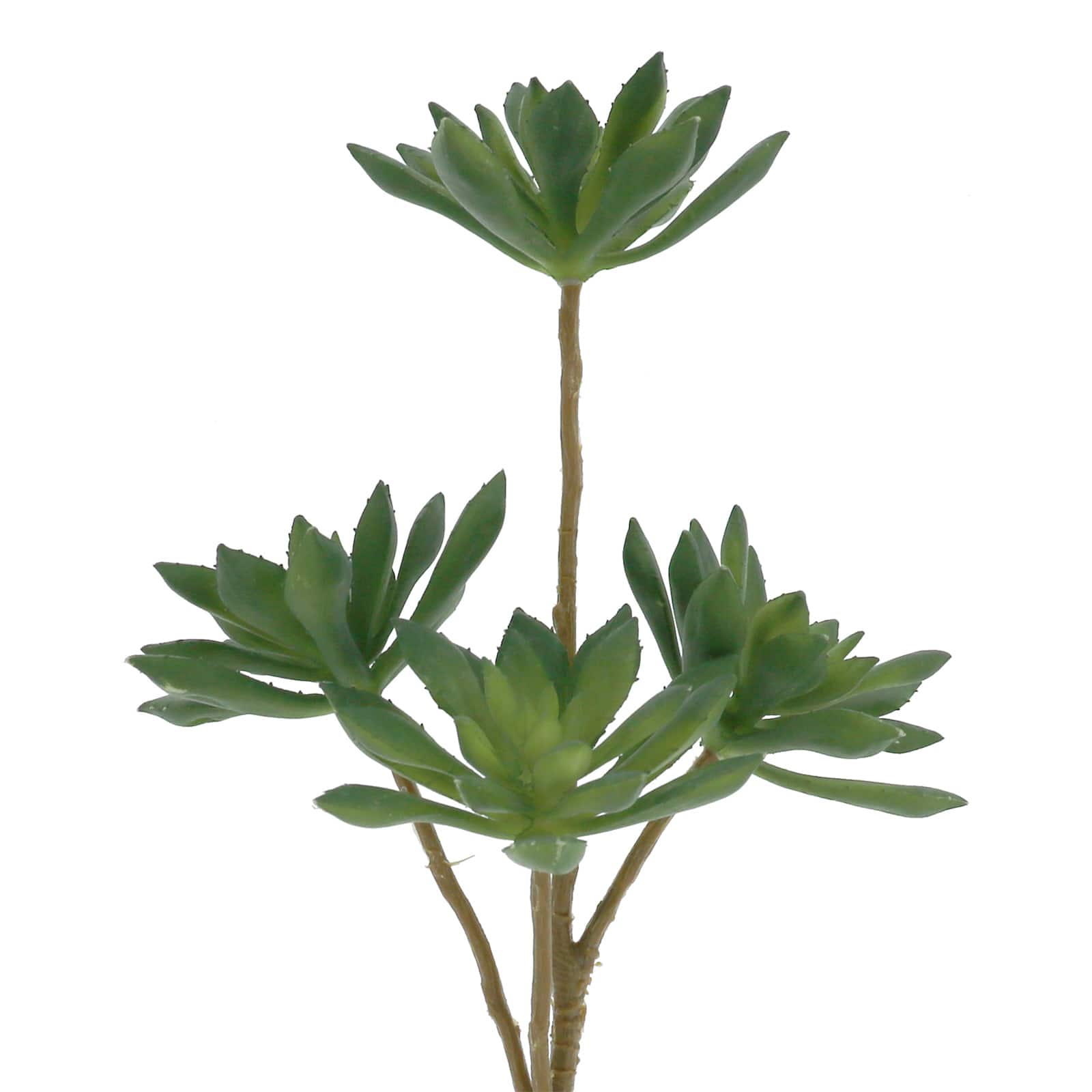 13.5" Green Echeveria Pick by Ashland®