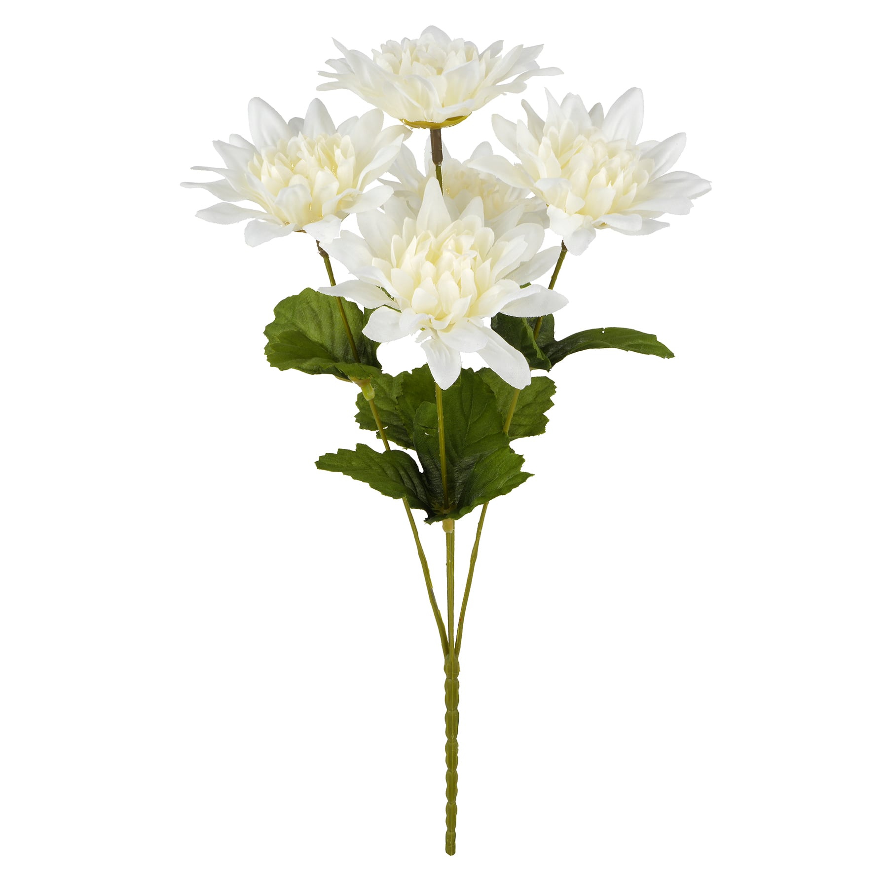 12" Dahlia Bush by Ashland