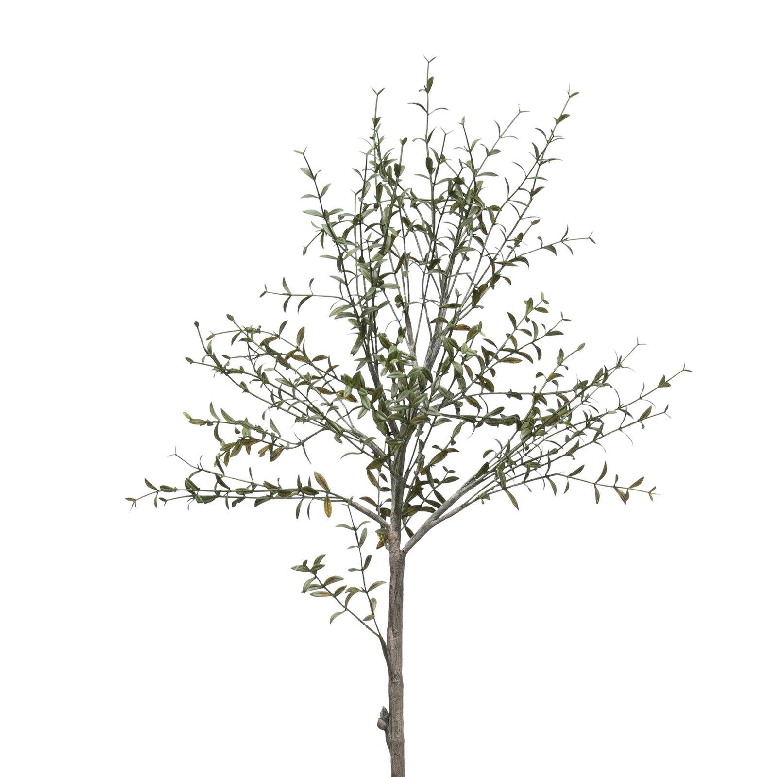 Hello Honey® 29" Potted Thyme Topiary Tree