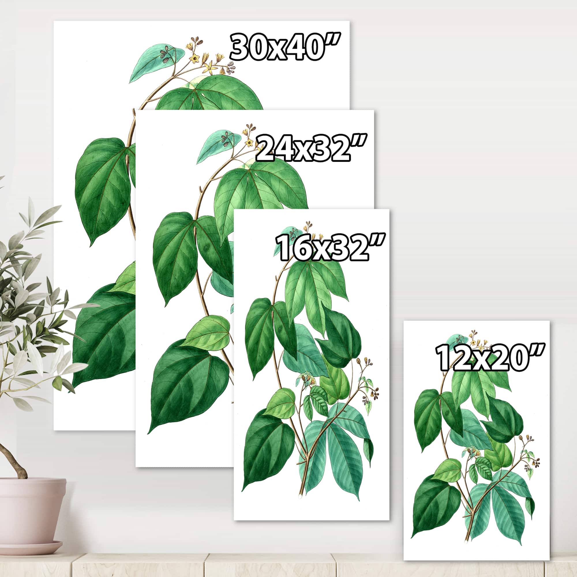 Designart - Vintage Green Leaves Plants III - Traditional Canvas Wall Art Print