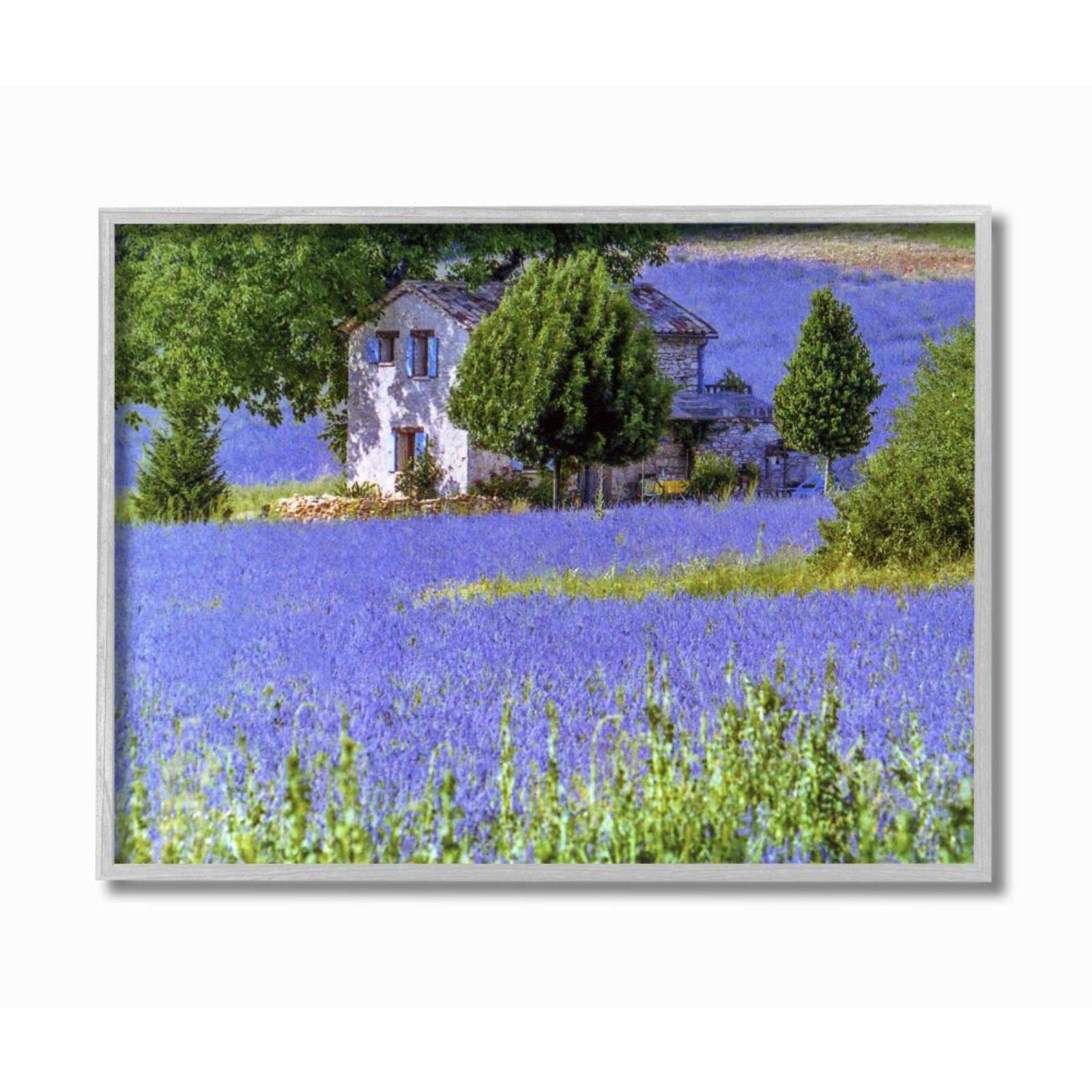 Stupell Industries Lavender Field House Landscape with Frame Wall Accent