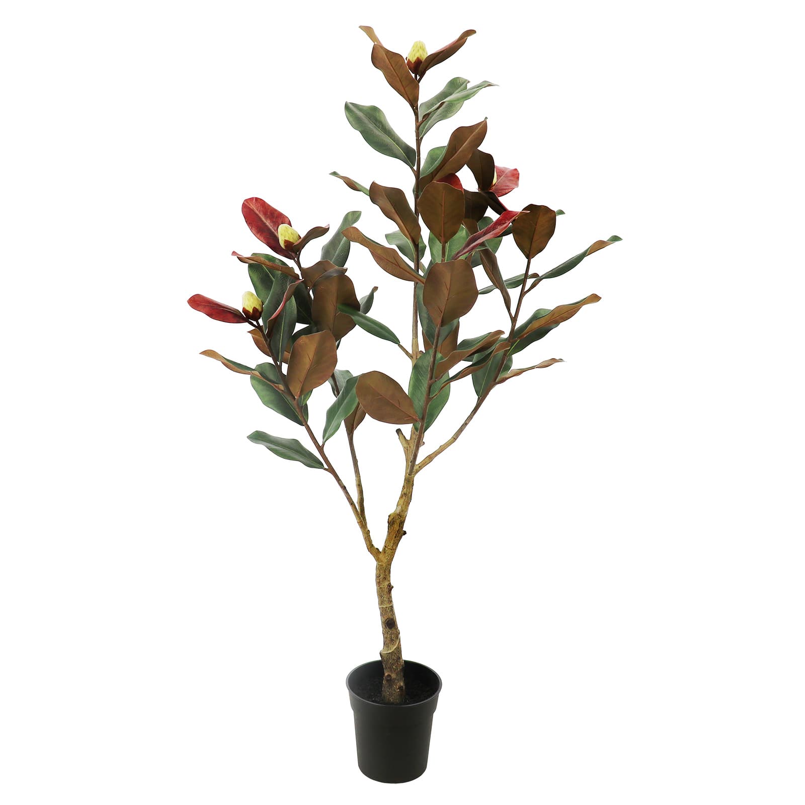 4.5ft. Premade Potted Green & Red Magnolia Tree by Ashland®