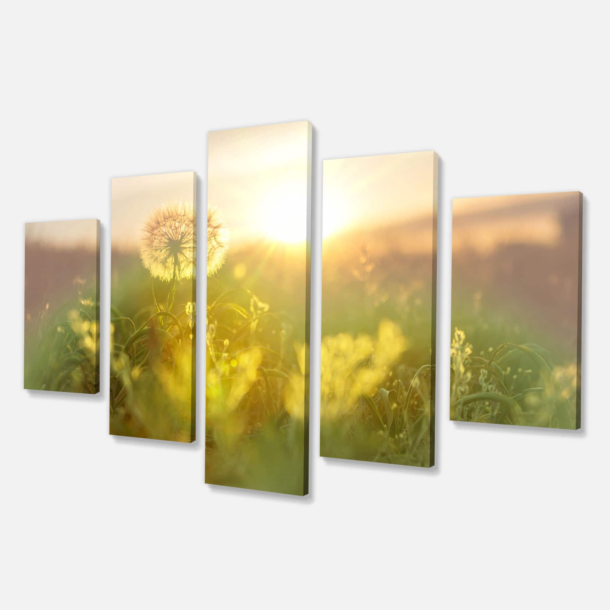 Designart - Dandelion Blooming Flower in Field - Floral Canvas Art Print
