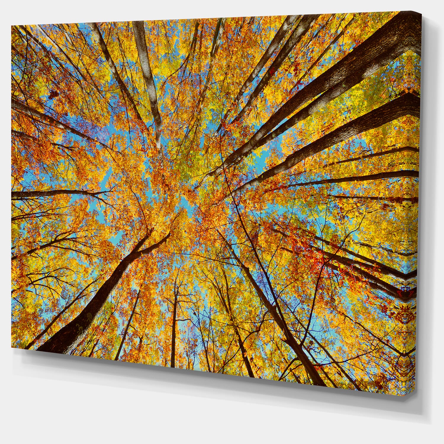 Designart - Tree Tops in Autumn Forest