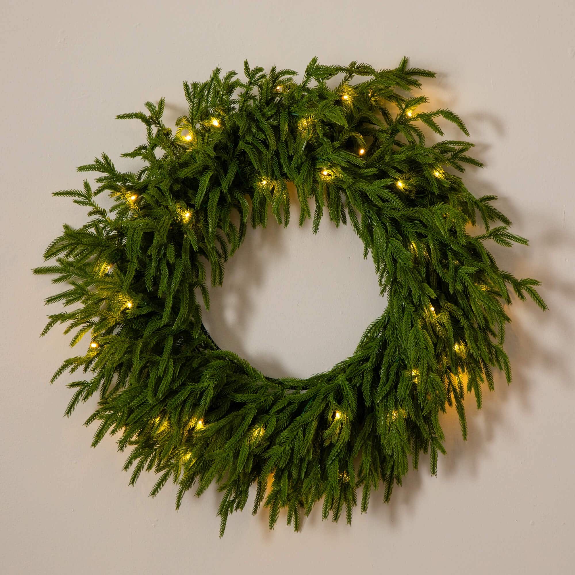24in. Pre-Lit Artificial Real Touch Norfolk Island Pine Wreath with 50 Warm White LED Lights and Natural Look