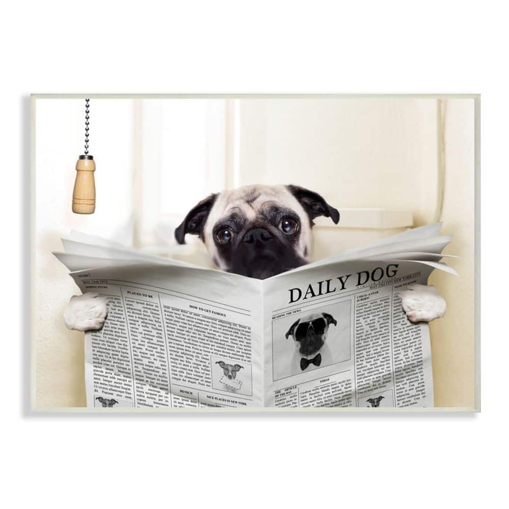 Stupell Industries Pug Reading Newspaper in Bathroom Wall Plaque
