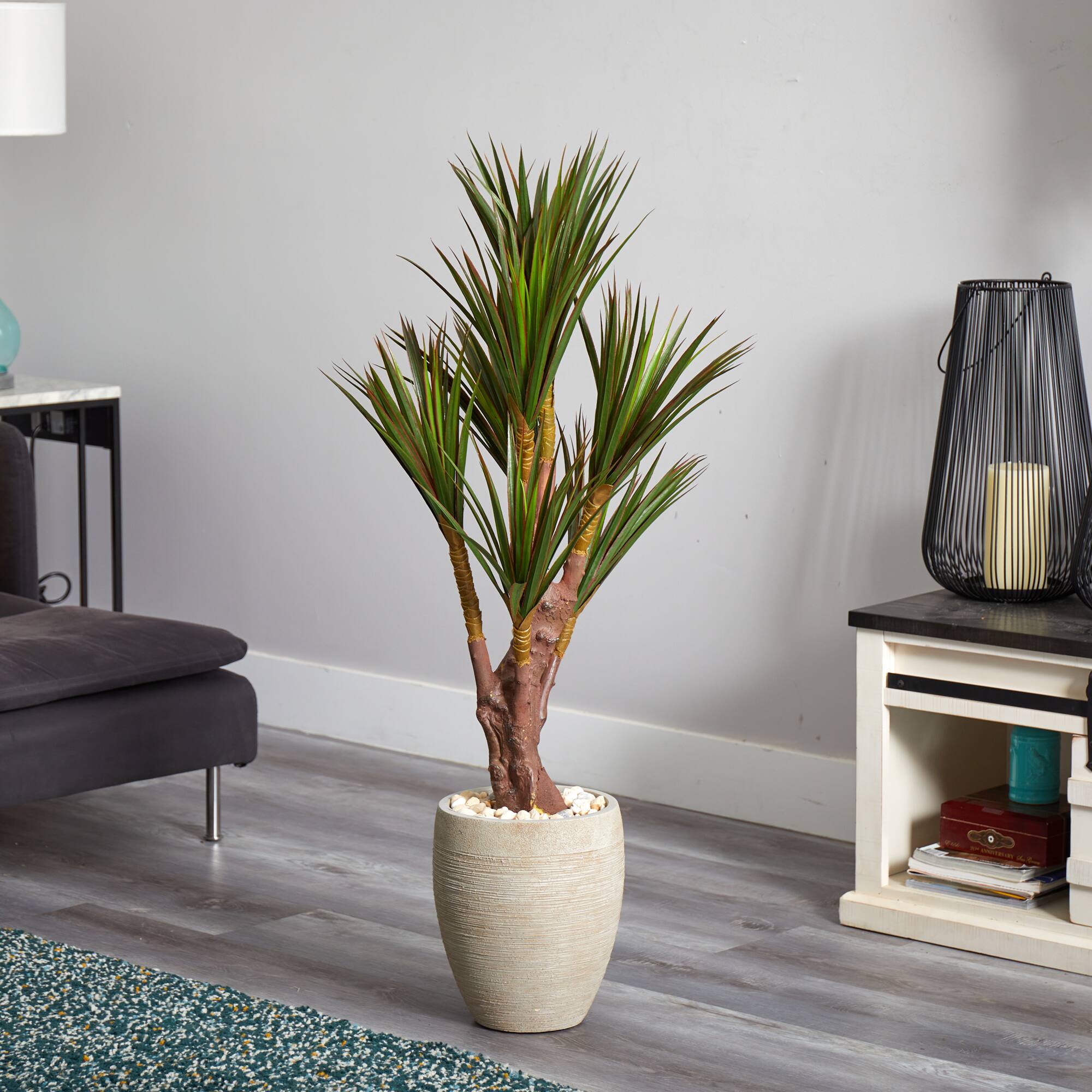 4ft. Yucca Tree in Planter
