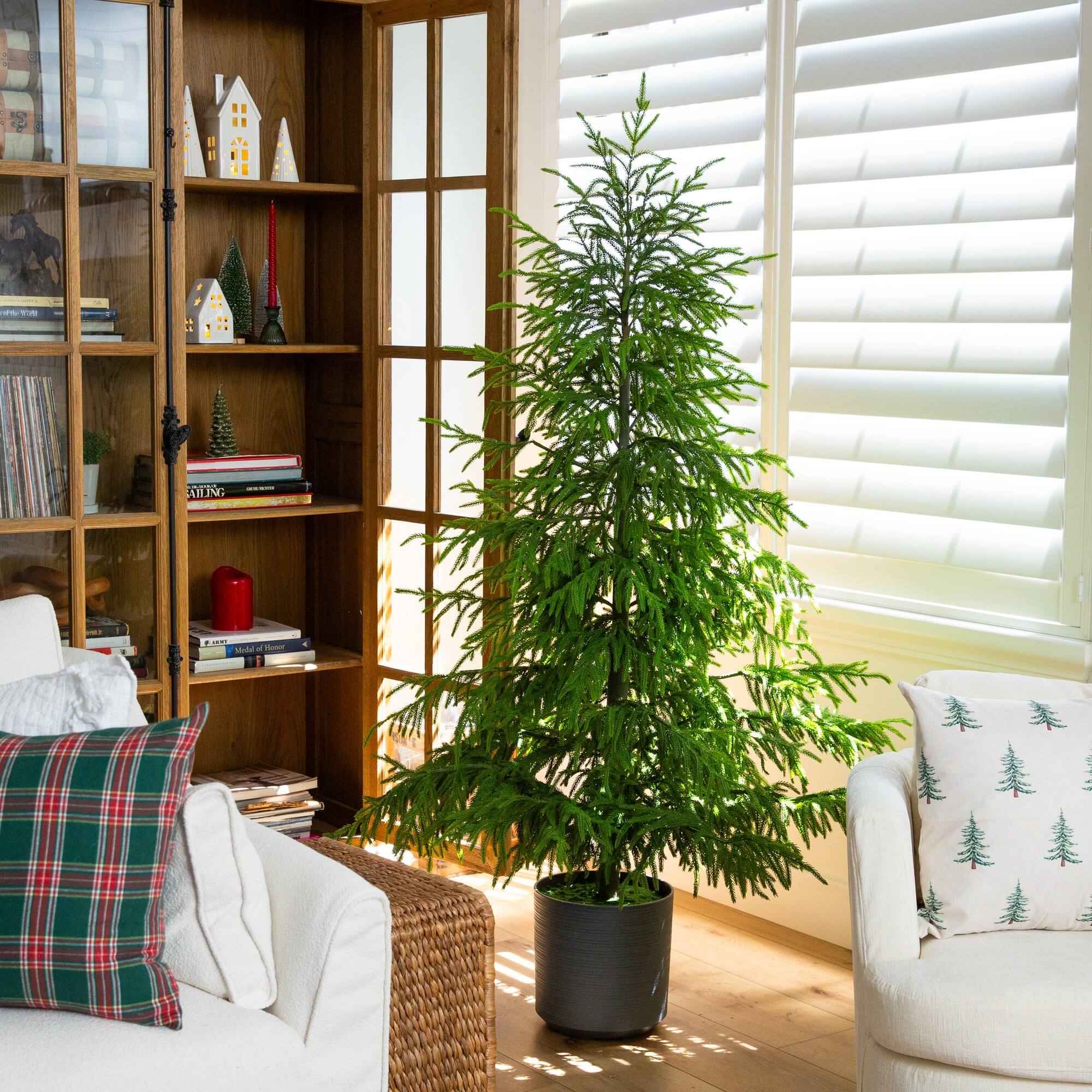 6ft. Unlit Norfolk Island Pine Real Touch Christmas Tree