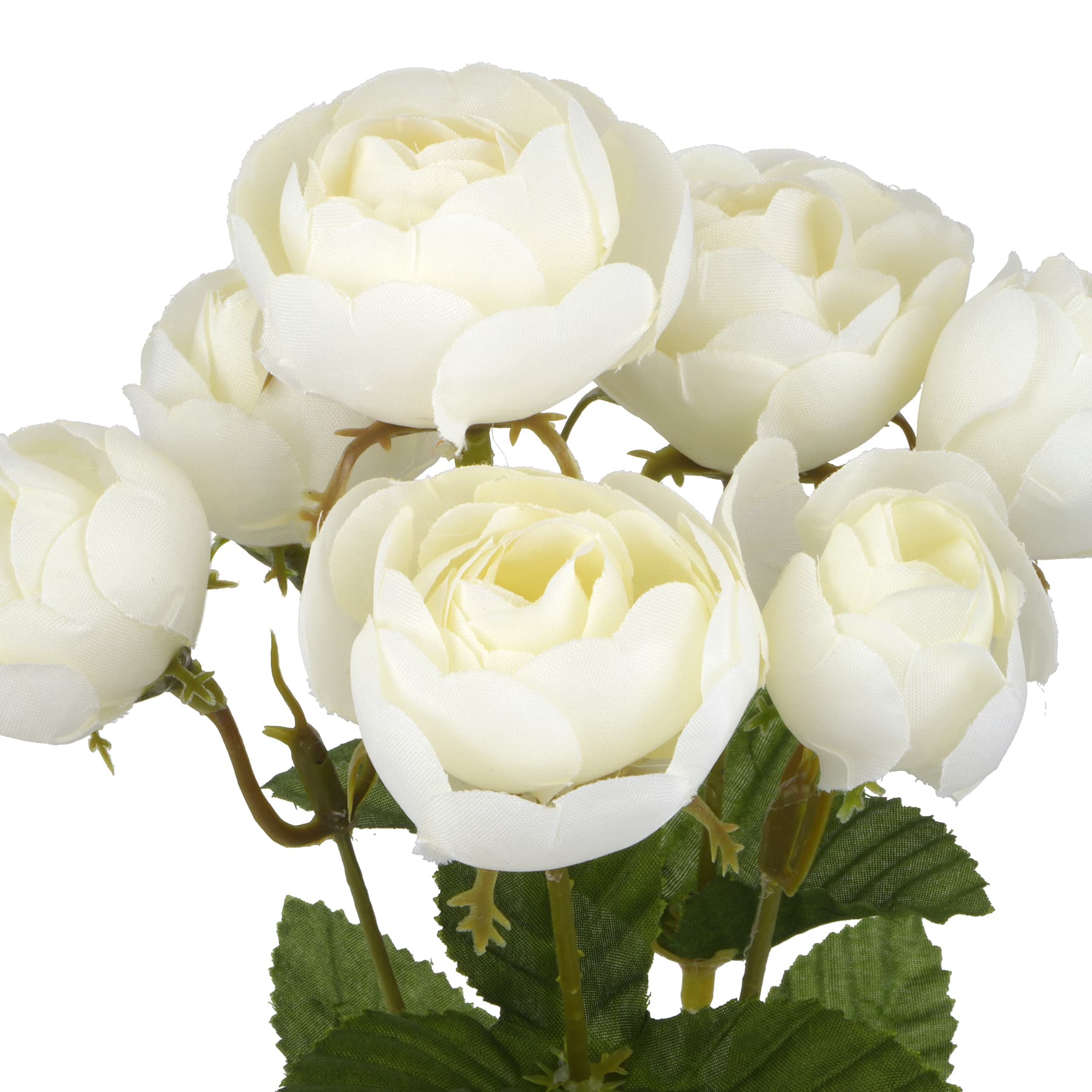 12" Ranunculus Bush by Ashland