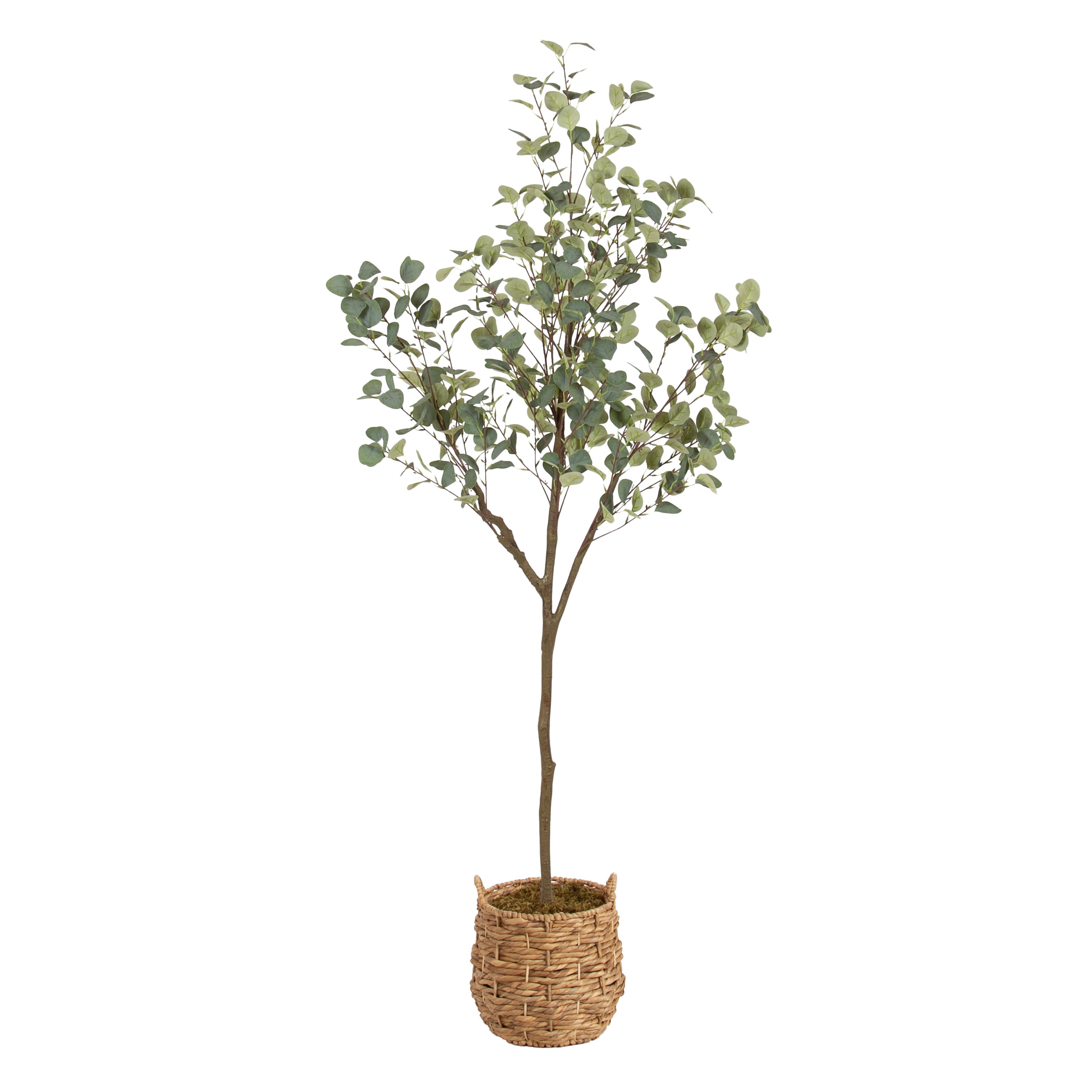 Kate and Laurel 6ft. Eudora Faux Eucalyptus Tree with Natural Planter