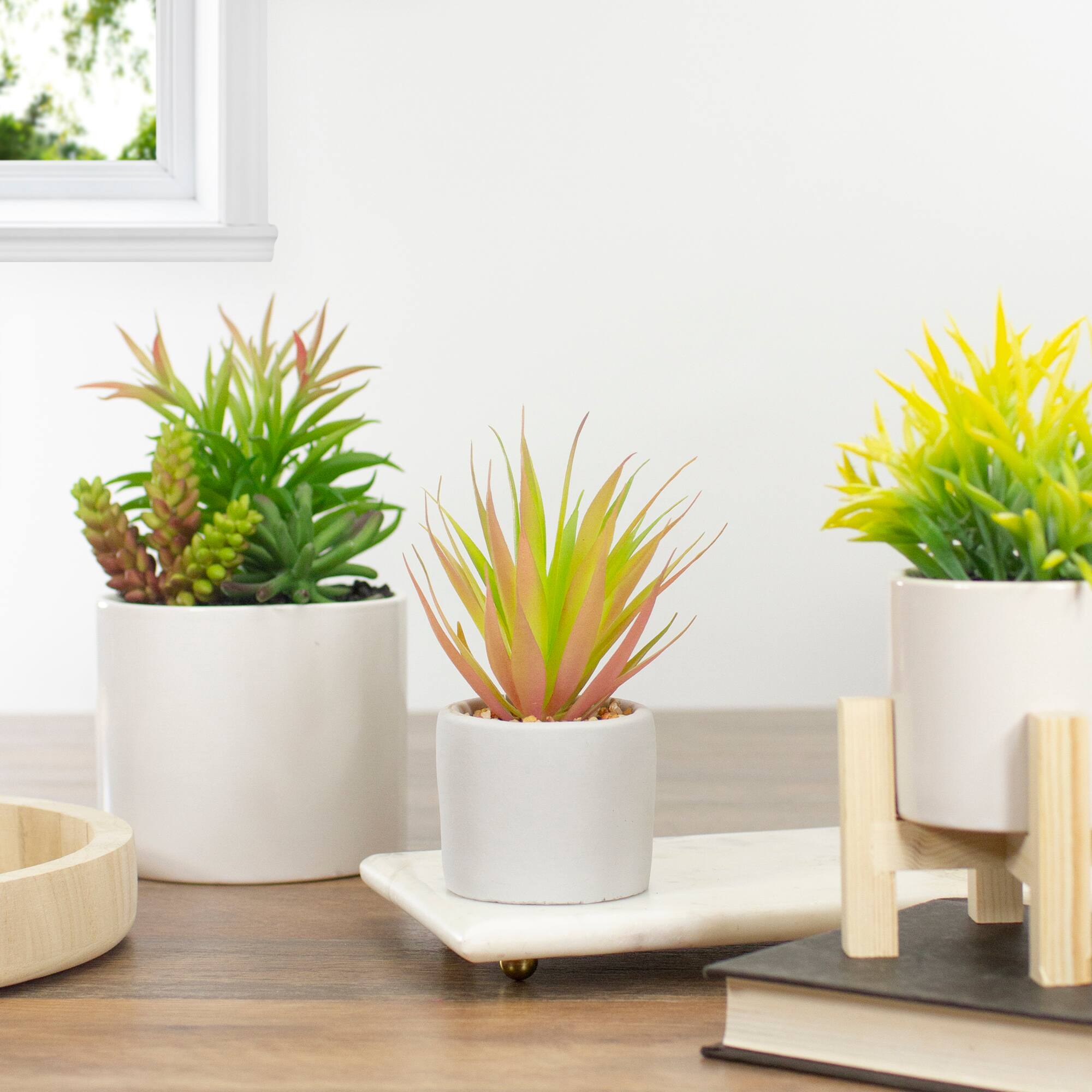 6.5" Green & Pink Sword Grass in White Pot