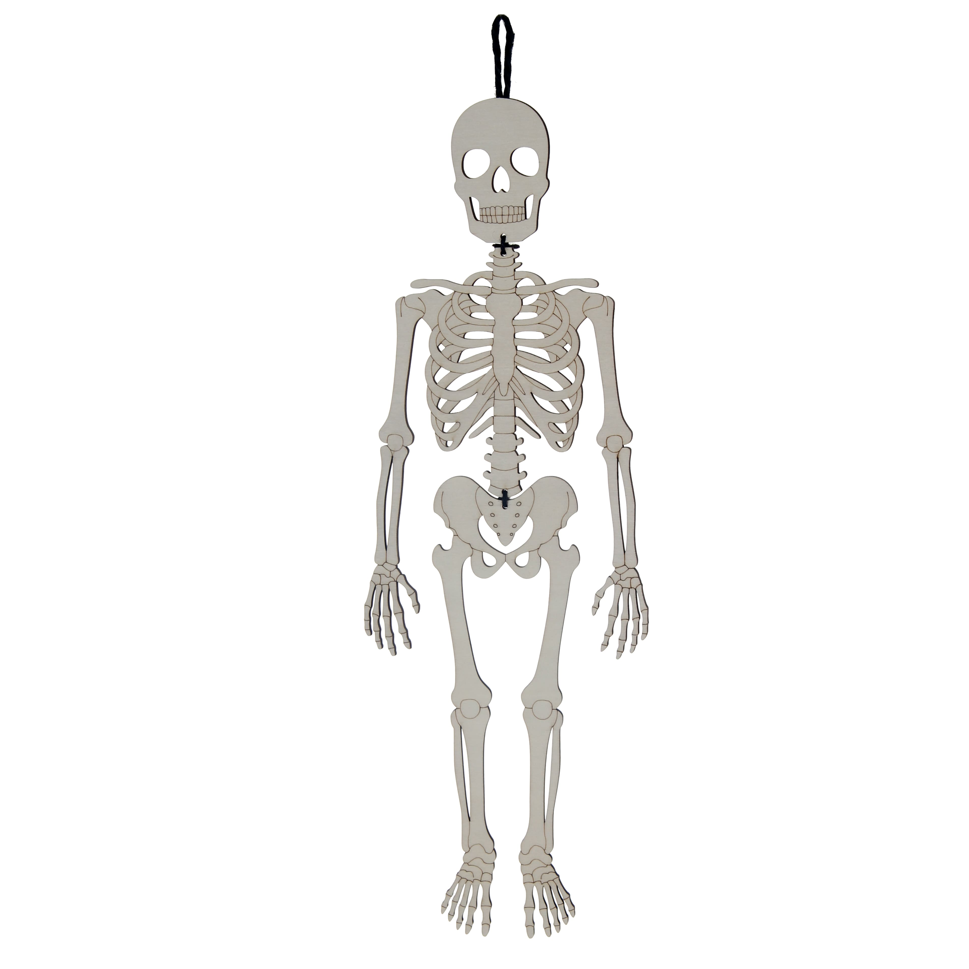 16.5" Skeleton DIY Linear Wood Plaque by Make Market®