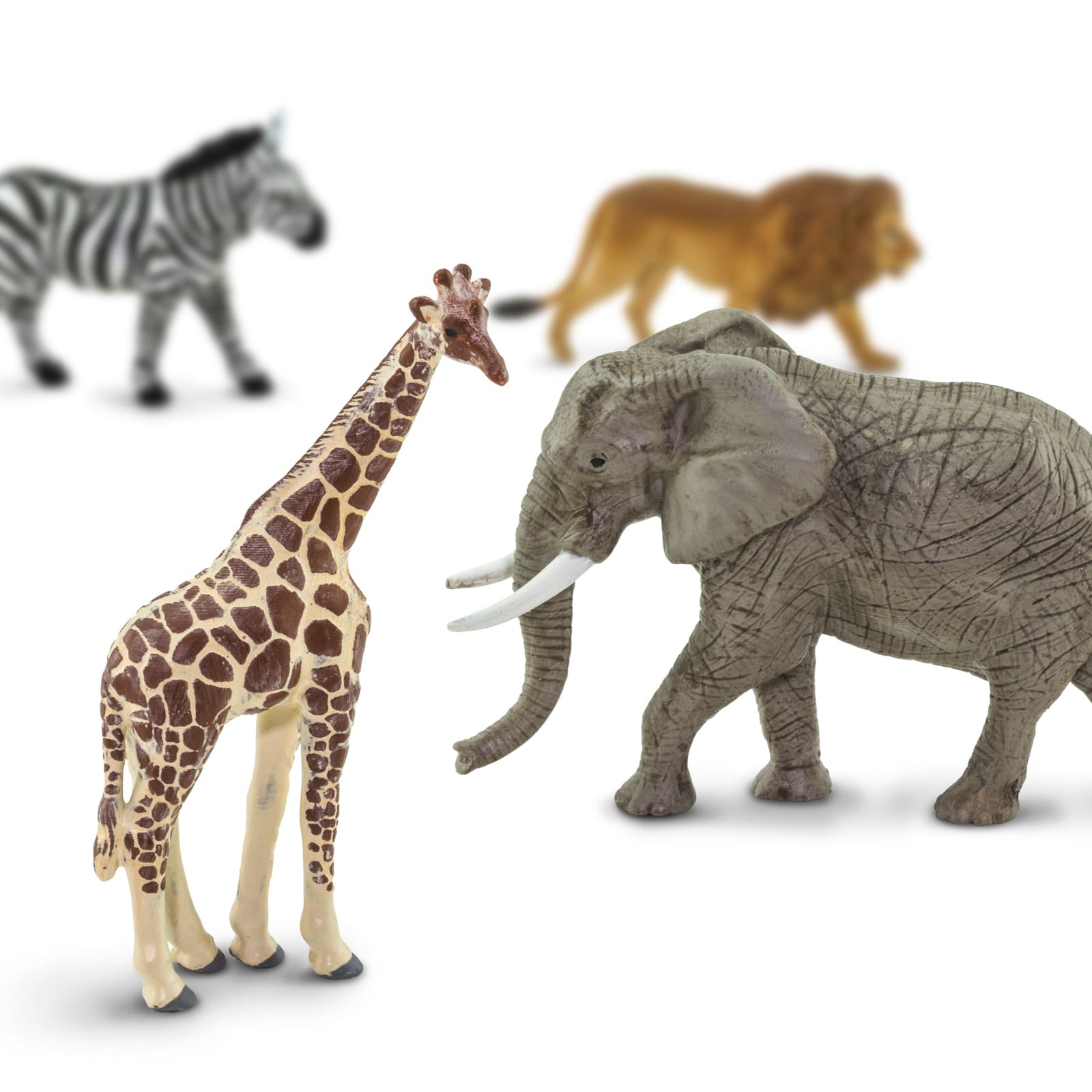 12 Pack: Safari Ltd® TOOB® South African Animals Set