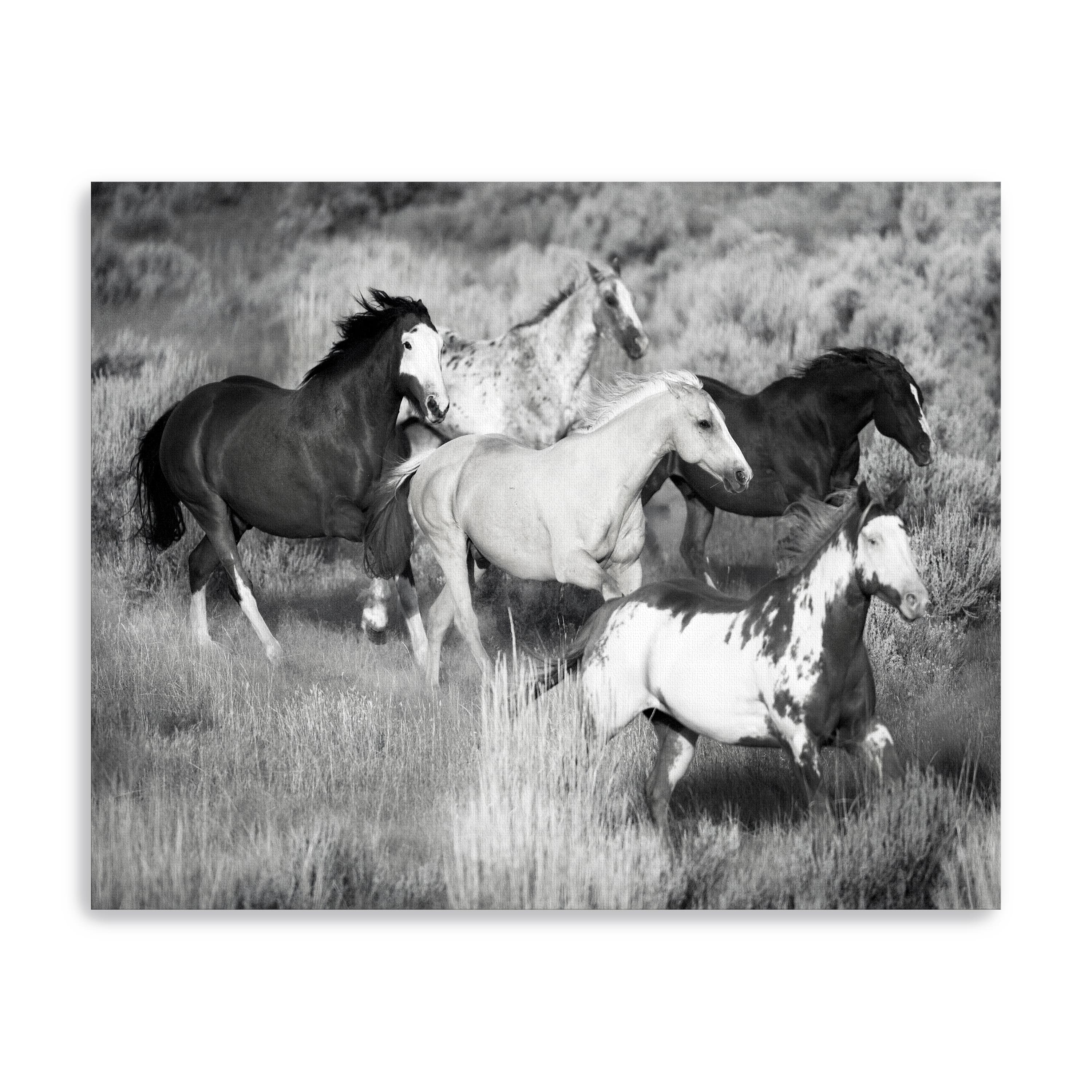 Prairie Run Canvas Giclee