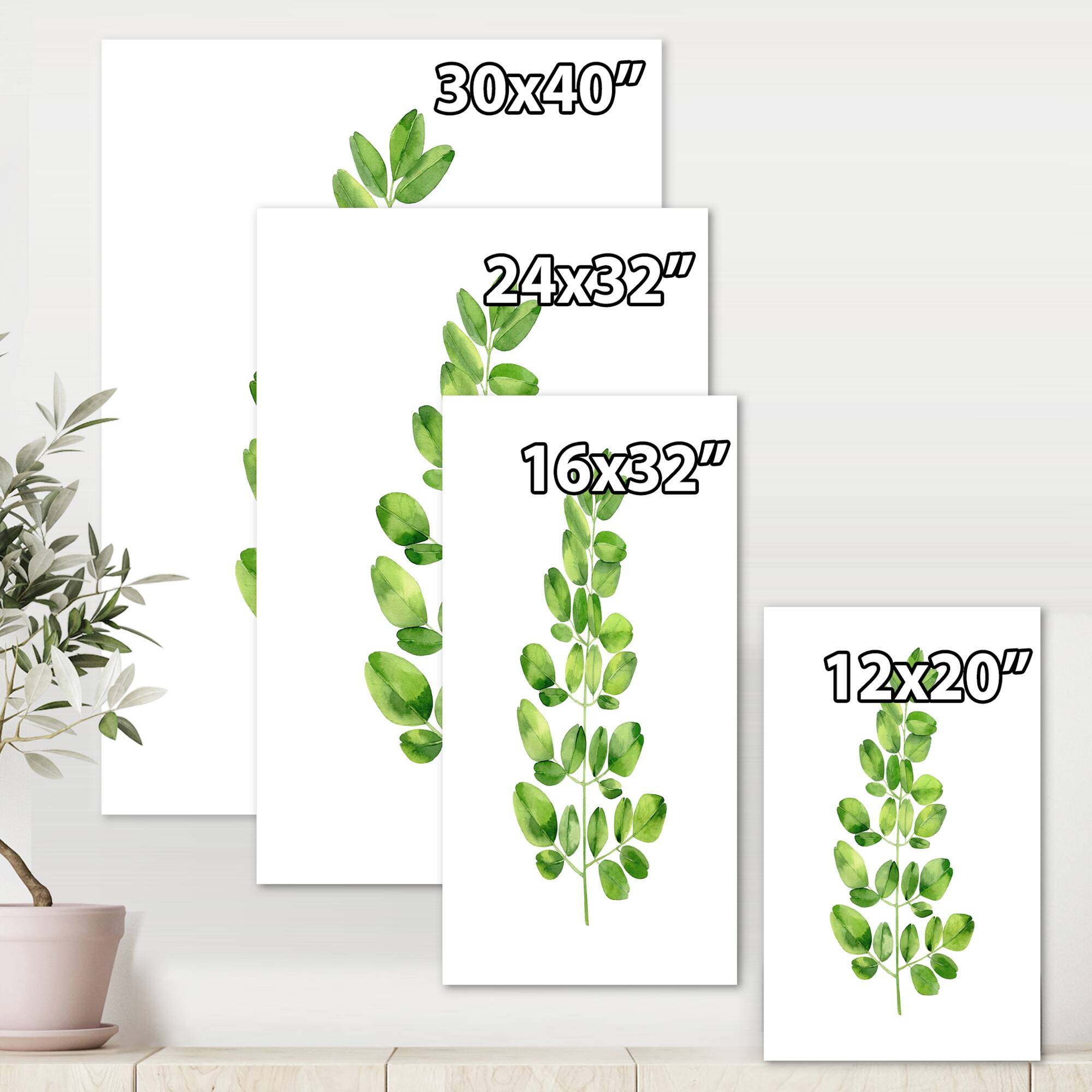 Designart - Moringa Branch Tropical Tree Foliage - Farmhouse Canvas Wall Art Print