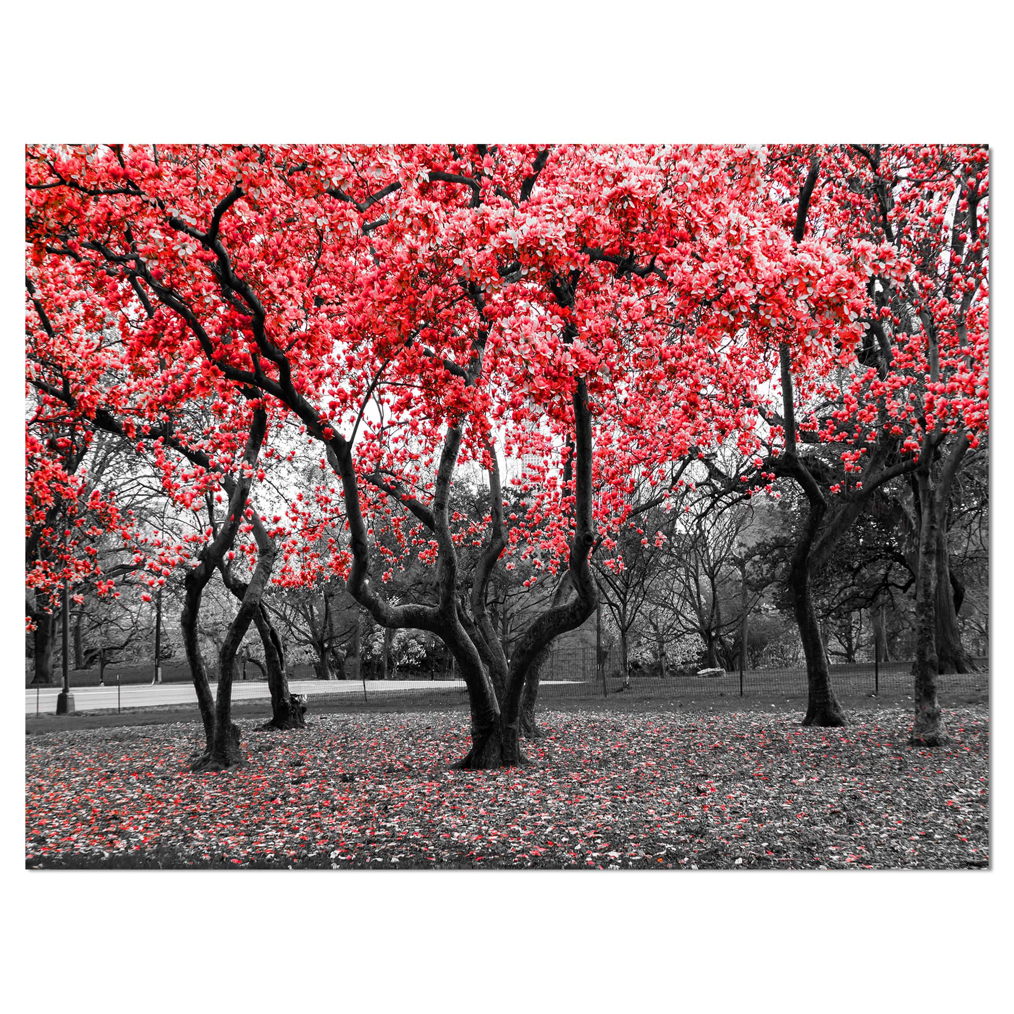 Designart - Red flower Trees Blossom - Floral Landscapes Photographic on wrapped Canvas
