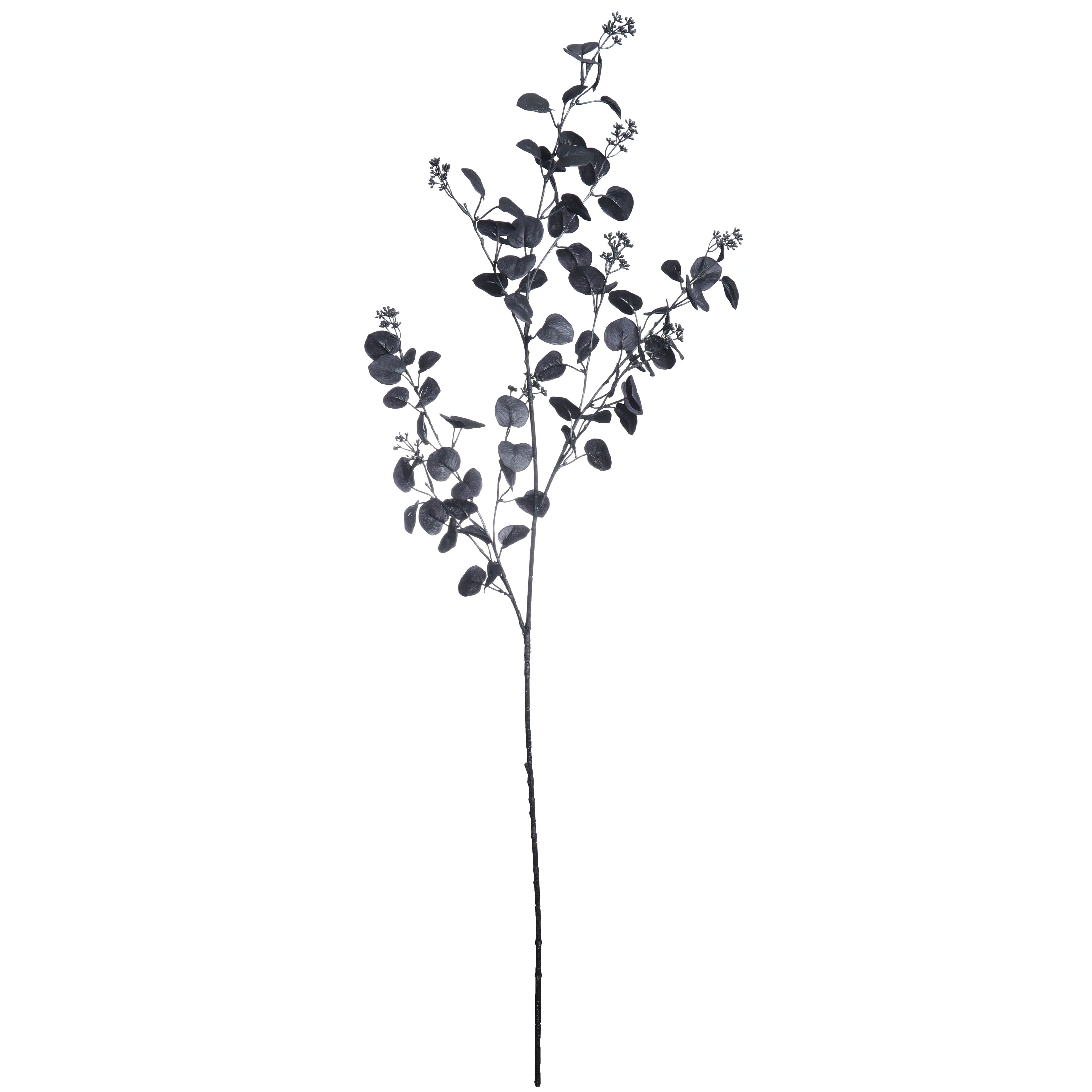 57" Black Eucalyptus with Seed Oversized Stem by Ashland®