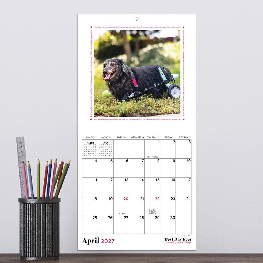 2027 Best Day Ever: Dogs Mini Calendar